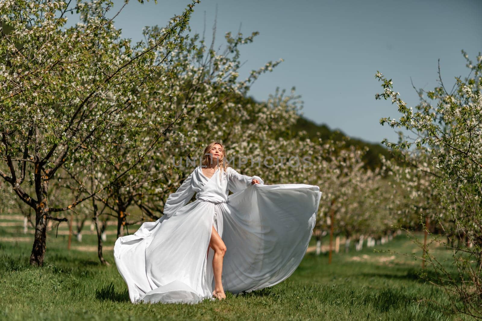 Blond blooming garden. A woman in a white dress walks through a blossoming cherry orchard. Long dress flies to the sides