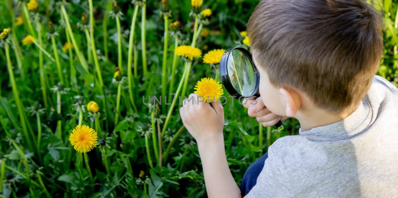 the boy looks at the flower through a magnifying glass. selective focus