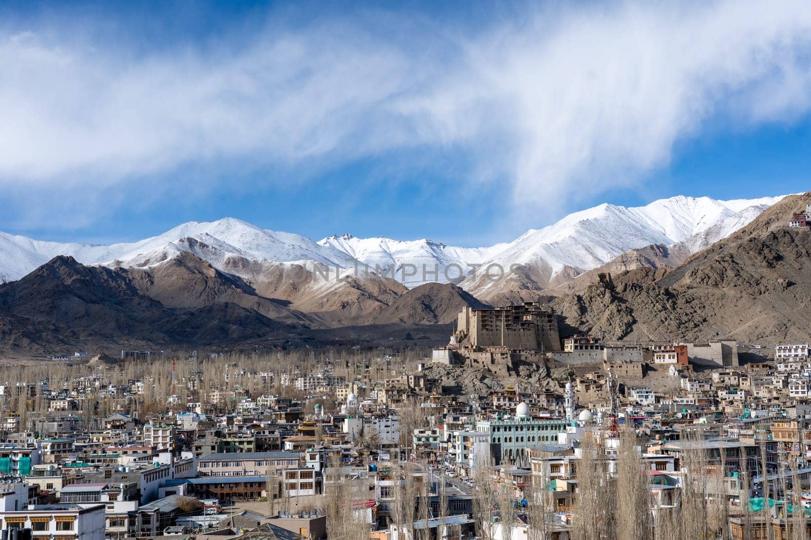 Leh, India - April 02, 2023: View of Leh Palace with snow capped mountains in the background