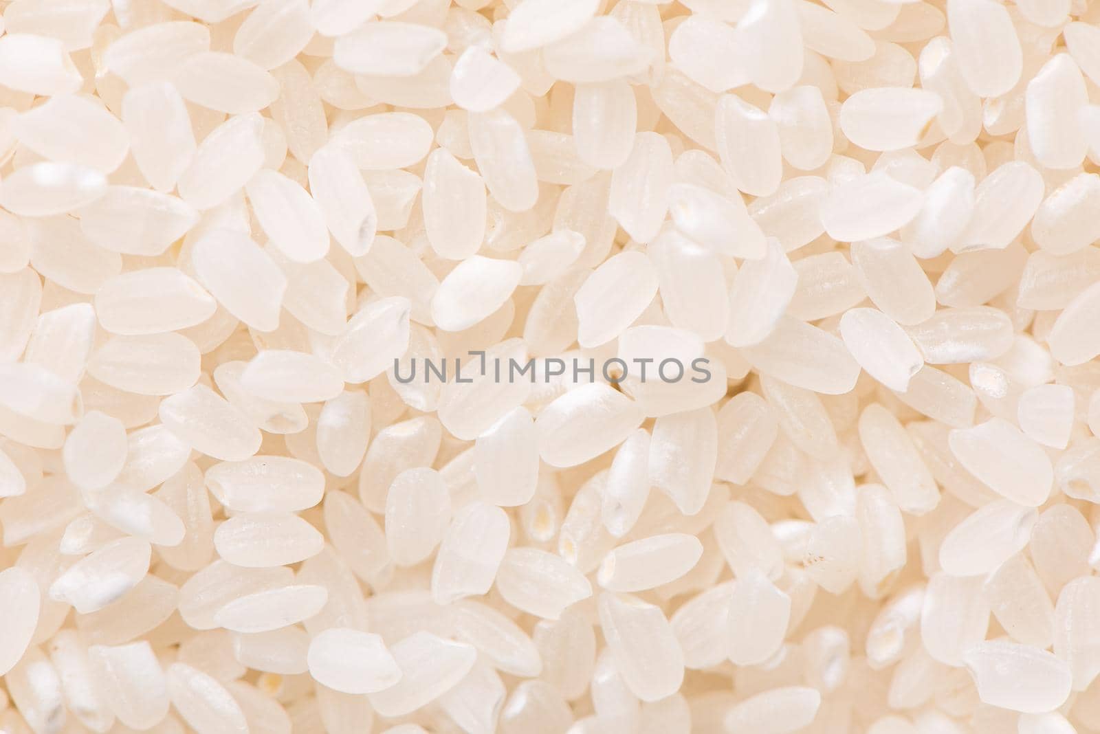 Raw white polished milled edible rice crop on white background in brown bowl, organic agriculture design concept. Staple food of Asia, close up.