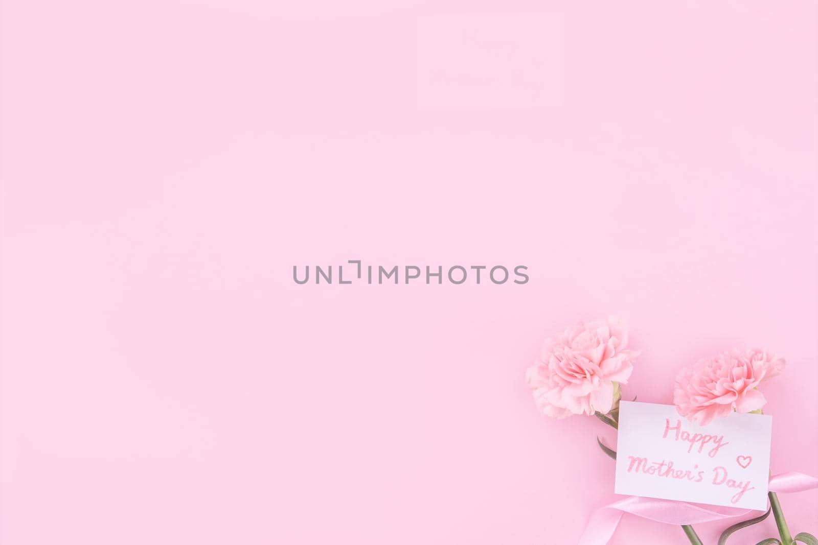 Beautiful, fresh elegant carnation flower bouquet with white greeting thanks gift card isolated on bright pink color background, top view, flat lay concept.