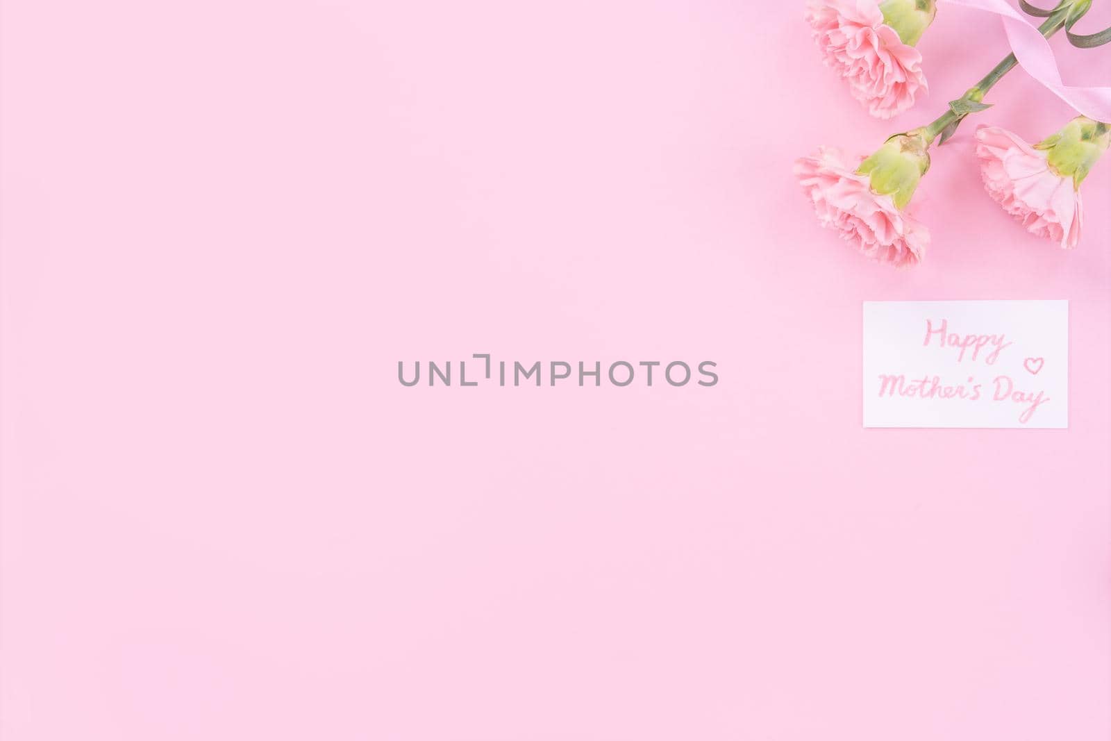 Beautiful, fresh elegant carnation flower bouquet with white greeting thanks gift card isolated on bright pink color background, top view, flat lay concept.