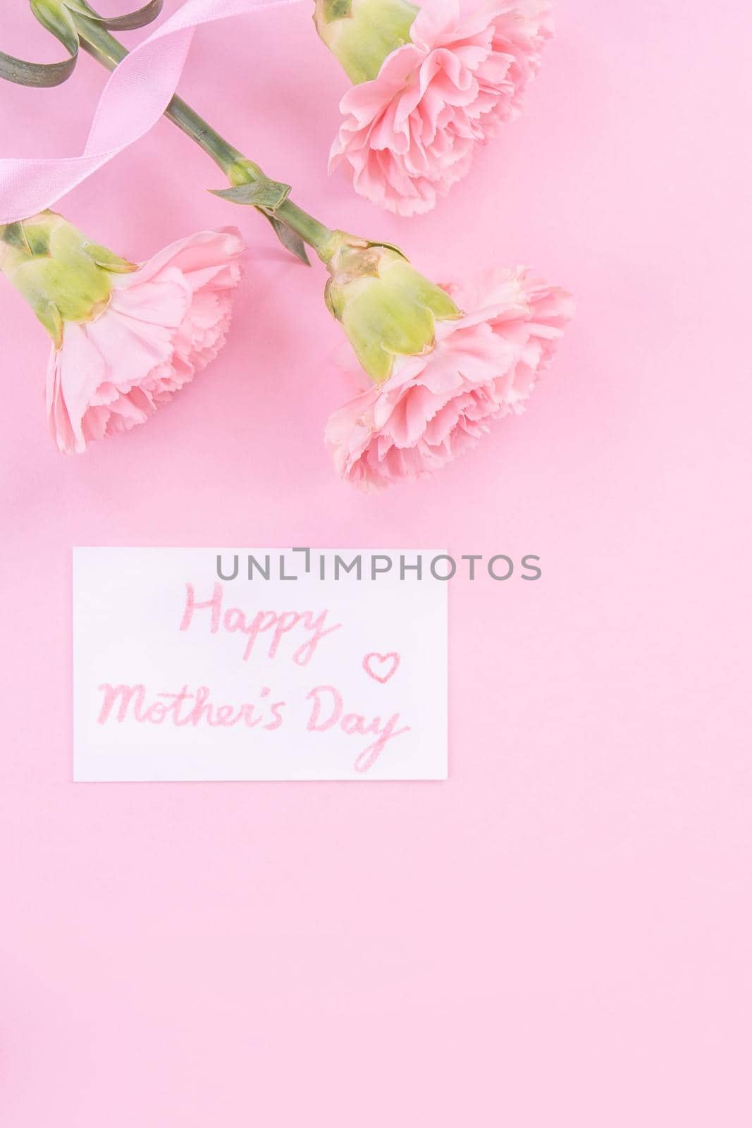 Beautiful, fresh elegant carnation flower bouquet with white greeting thanks gift card isolated on bright pink color background, top view, flat lay concept.