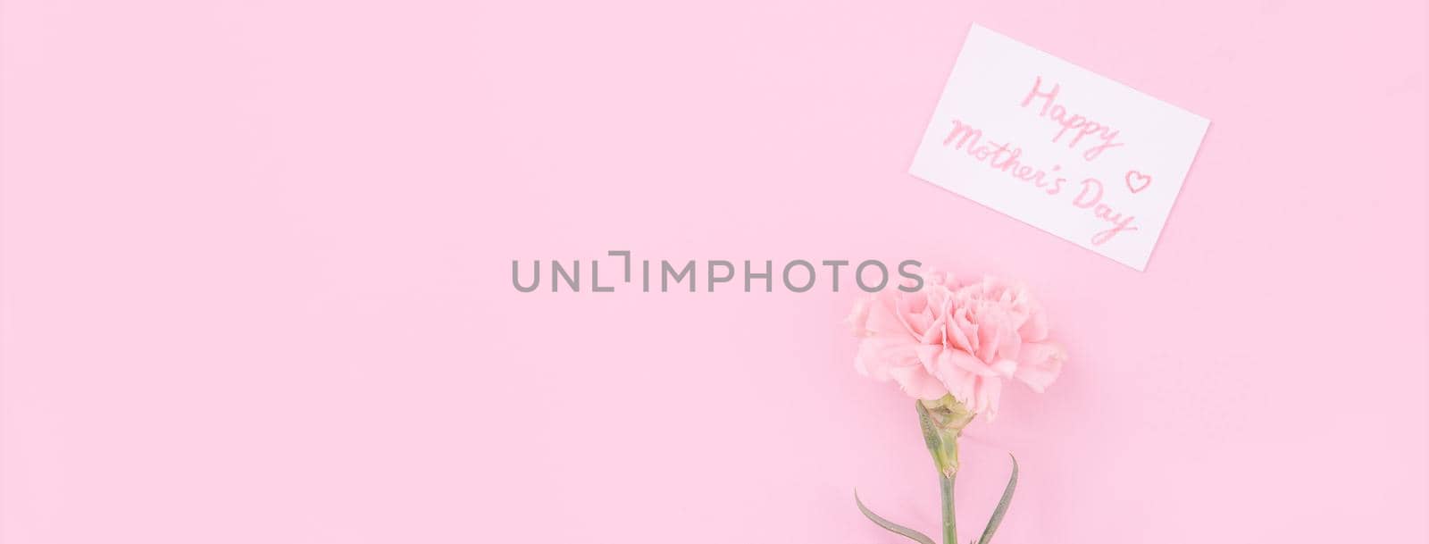 Beautiful, fresh elegant carnation flower bouquet with white greeting thanks gift card isolated on bright pink color background, top view, flat lay concept. by ROMIXIMAGE