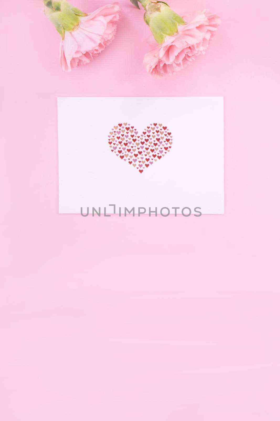 Beautiful, fresh elegant carnation flower bouquet with white greeting thanks gift card isolated on bright pink color background, top view, flat lay concept.