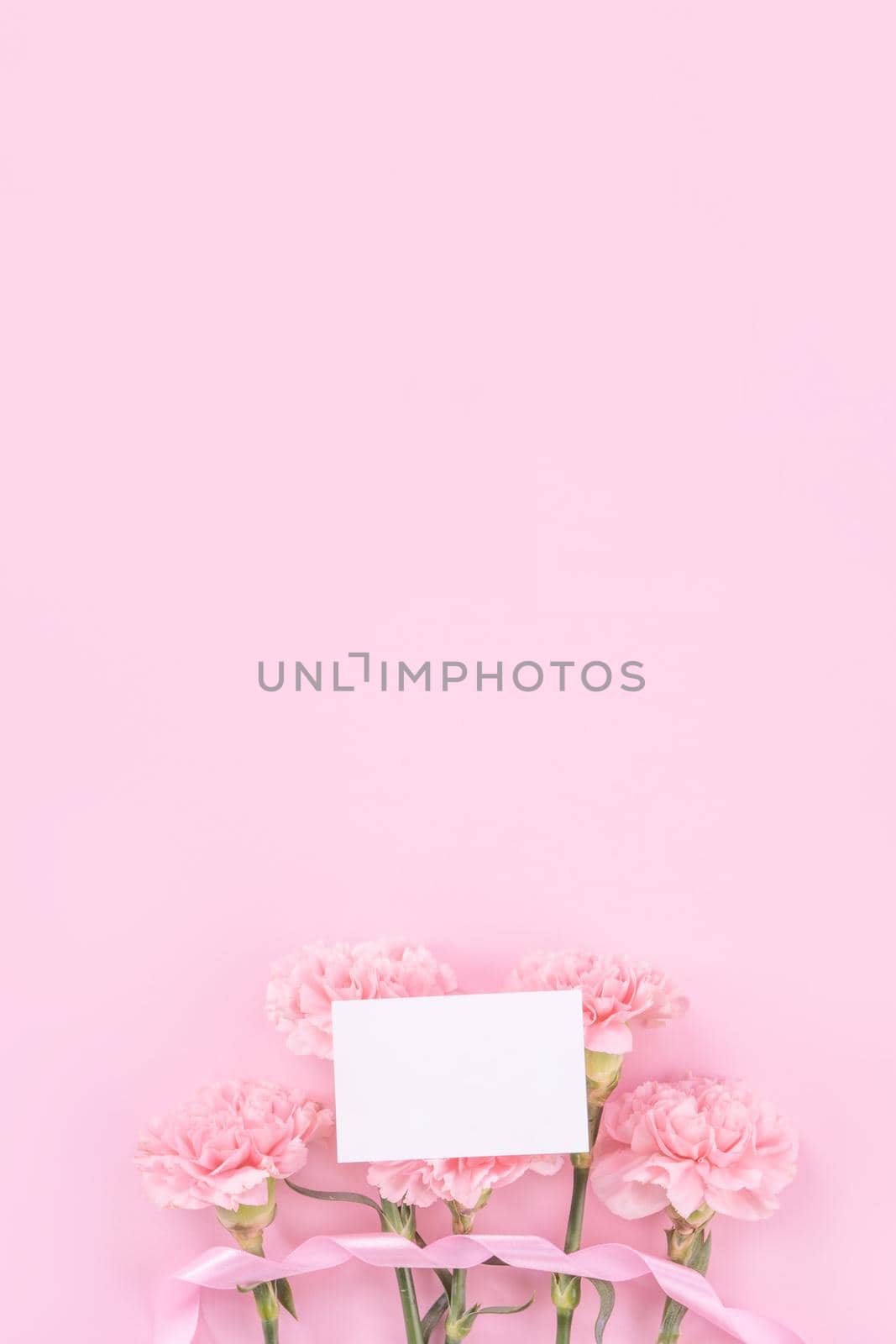 Beautiful, fresh elegant carnation flower bouquet with white greeting thanks gift card isolated on bright pink color background, top view, flat lay concept. by ROMIXIMAGE