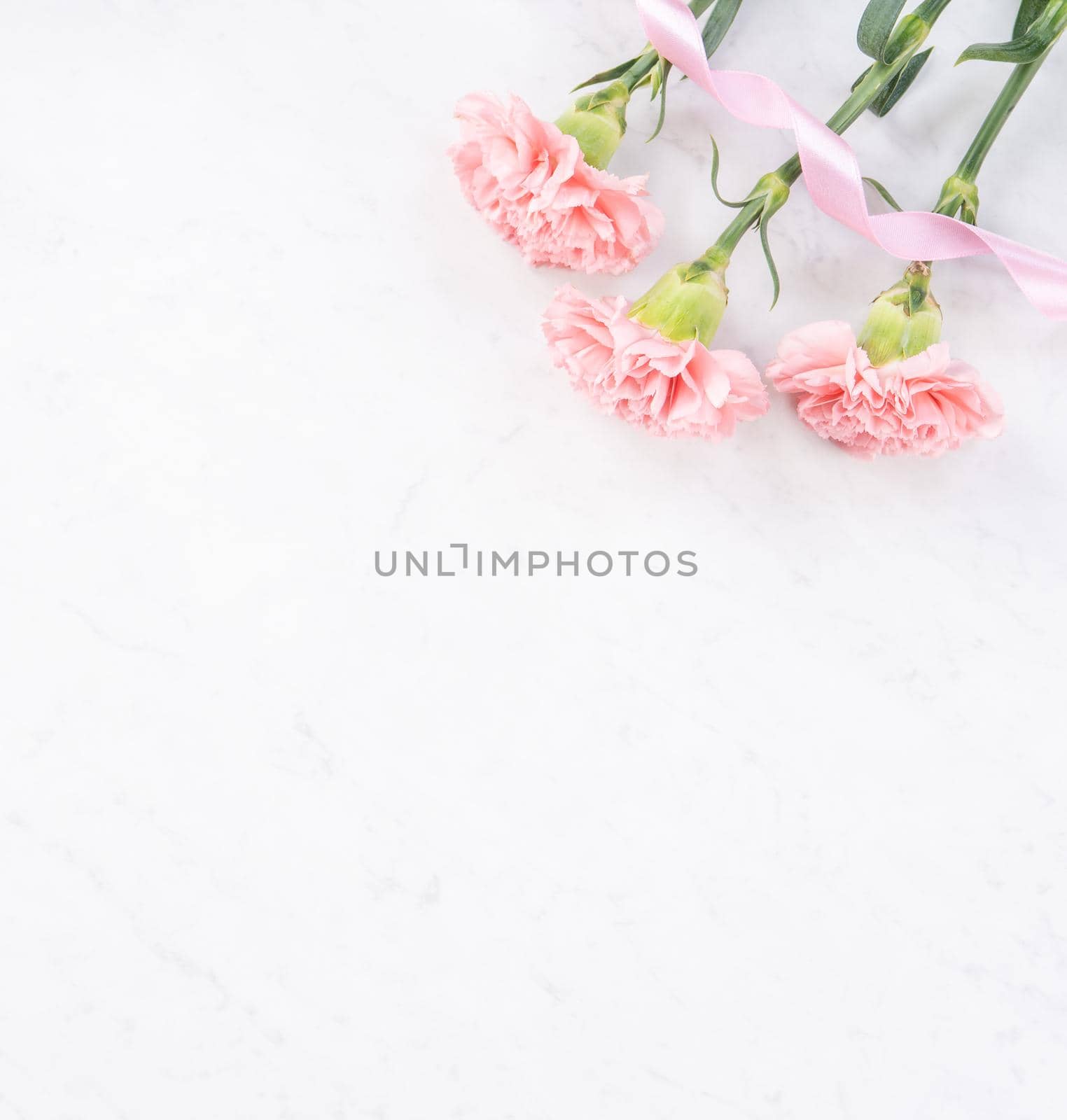 Beautiful, elegant pink carnation flower over bright white marble table background, concept of Mother's Day flower gift, top view, flat lay, overhead by ROMIXIMAGE