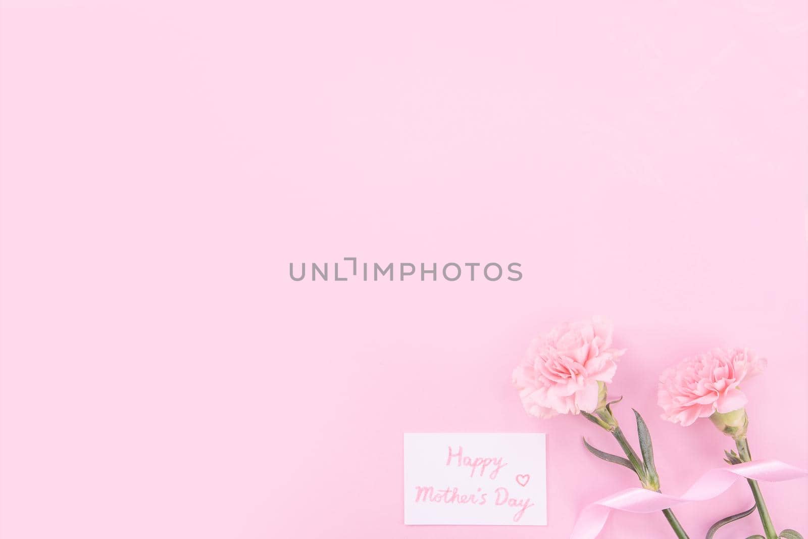 Beautiful, fresh elegant carnation flower bouquet with white greeting thanks gift card isolated on bright pink color background, top view, flat lay concept.
