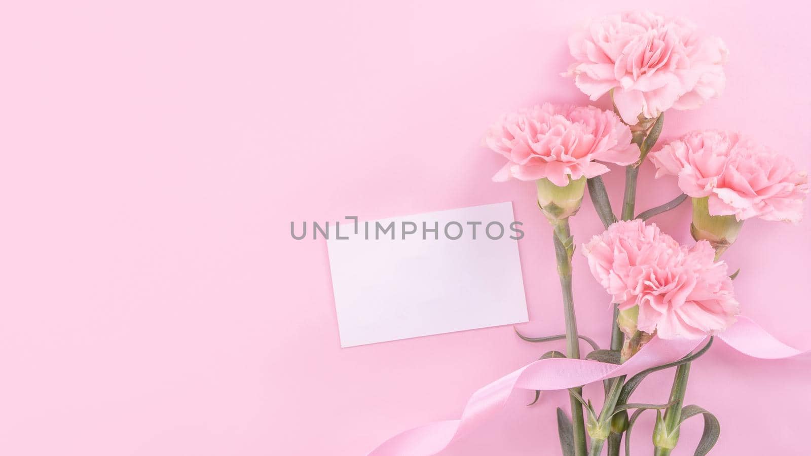 Beautiful, fresh elegant carnation flower bouquet with white greeting thanks gift card isolated on bright pink color background, top view, flat lay concept.