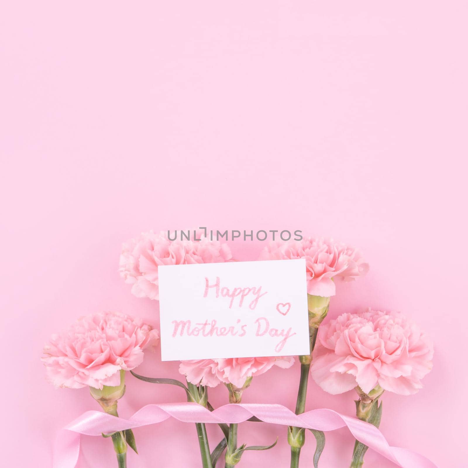 Beautiful, fresh elegant carnation flower bouquet with white greeting thanks gift card isolated on bright pink color background, top view, flat lay concept.