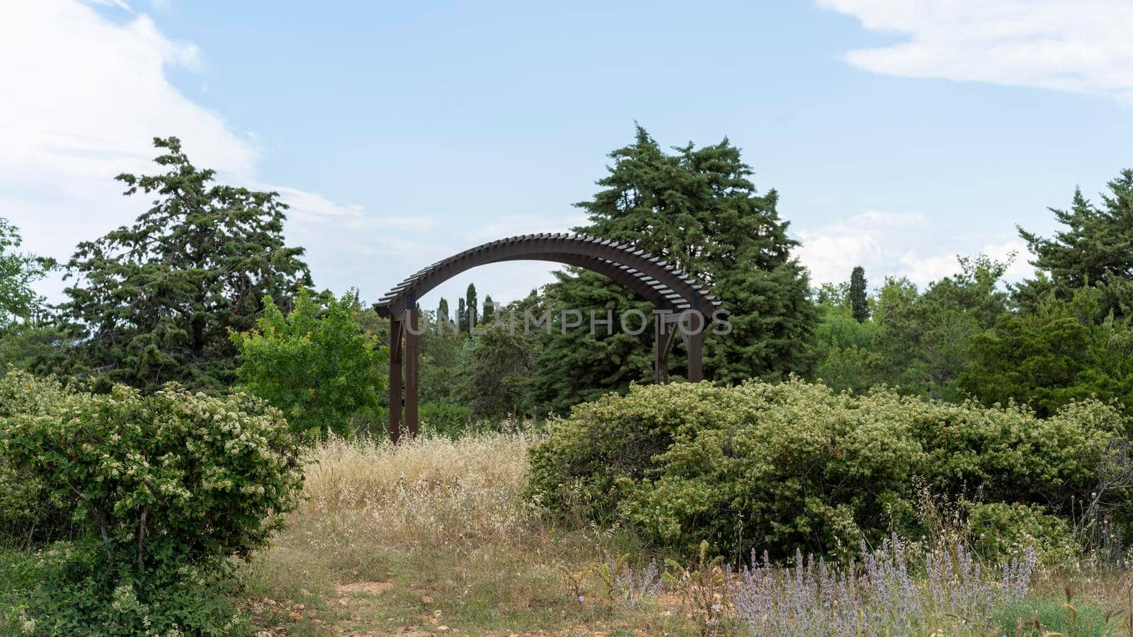 Landscape with a view of Victory Park in Sevastopol, Crimea