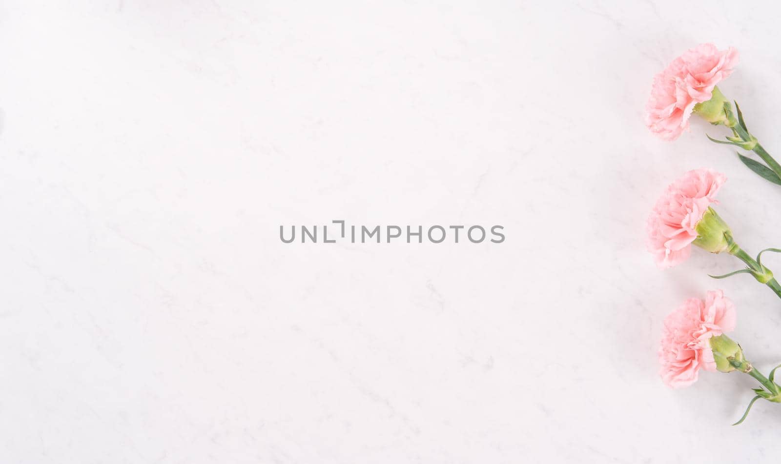Beautiful, elegant pink carnation flower over bright white marble table background, concept of Mother's Day flower gift, top view, flat lay, overhead