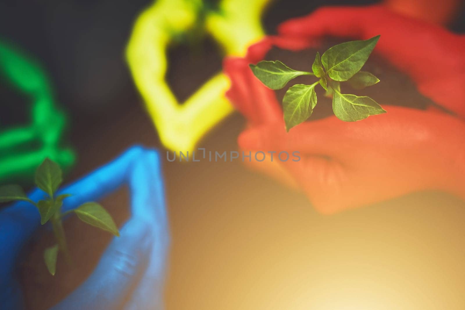 If you do your part then there will be hope. unrecognizable people holding budding plants in their multi colored hands
