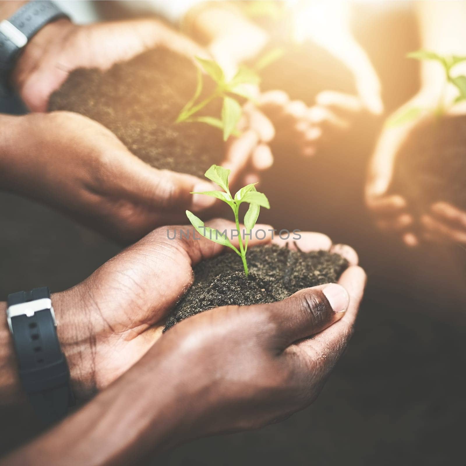 Weve all got to start somewhere. a group of people holding plants growing out of soil