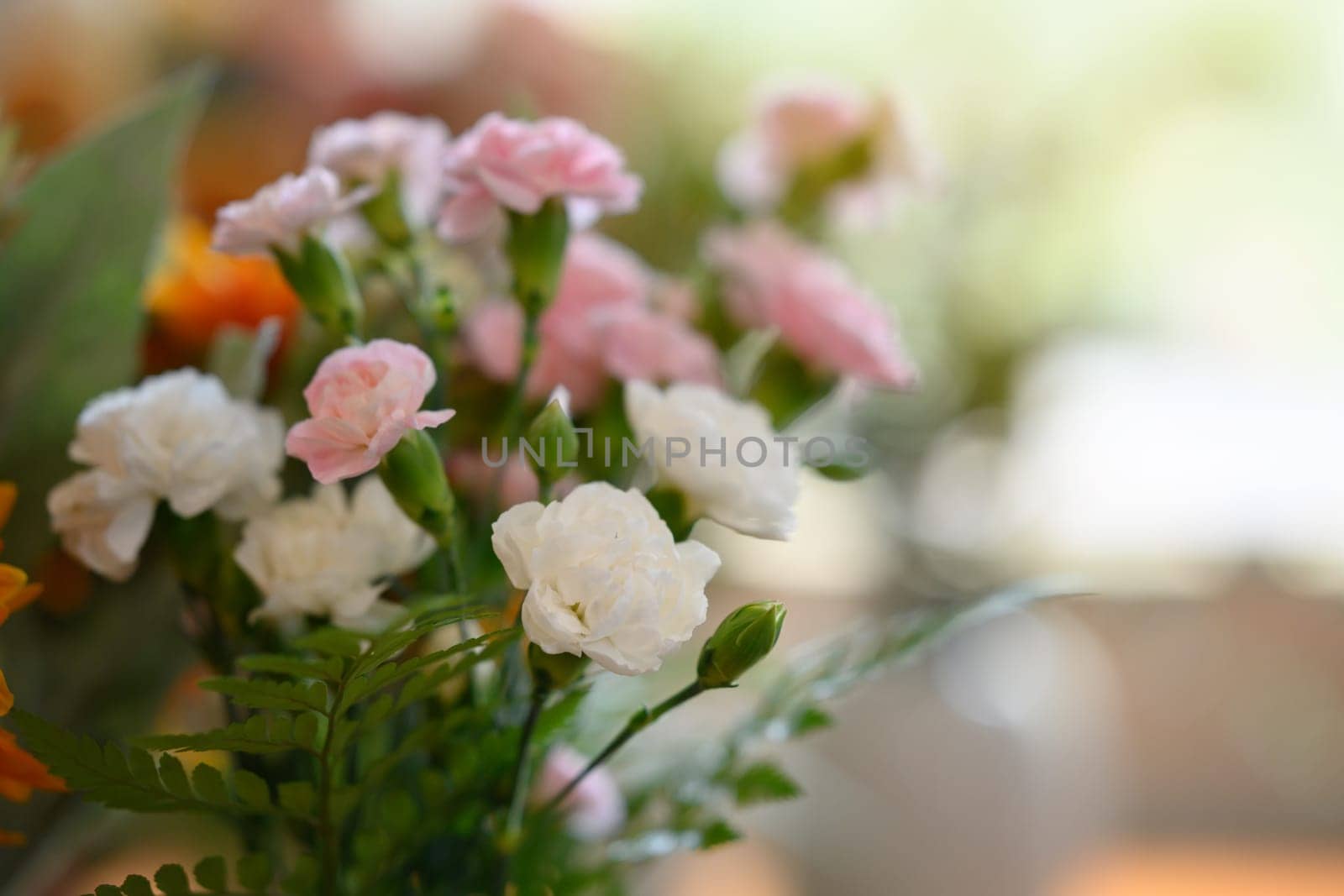 Pastel colors flowers and fern leaves on table in comfortable home, spring floral background, copy space for text.