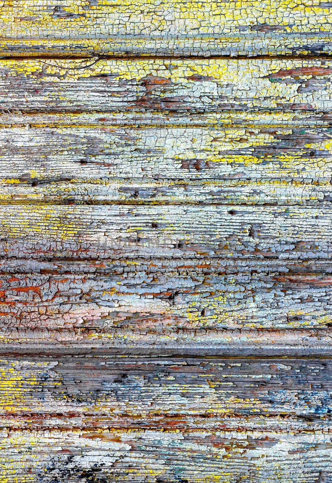 Old wood background by germanopoli