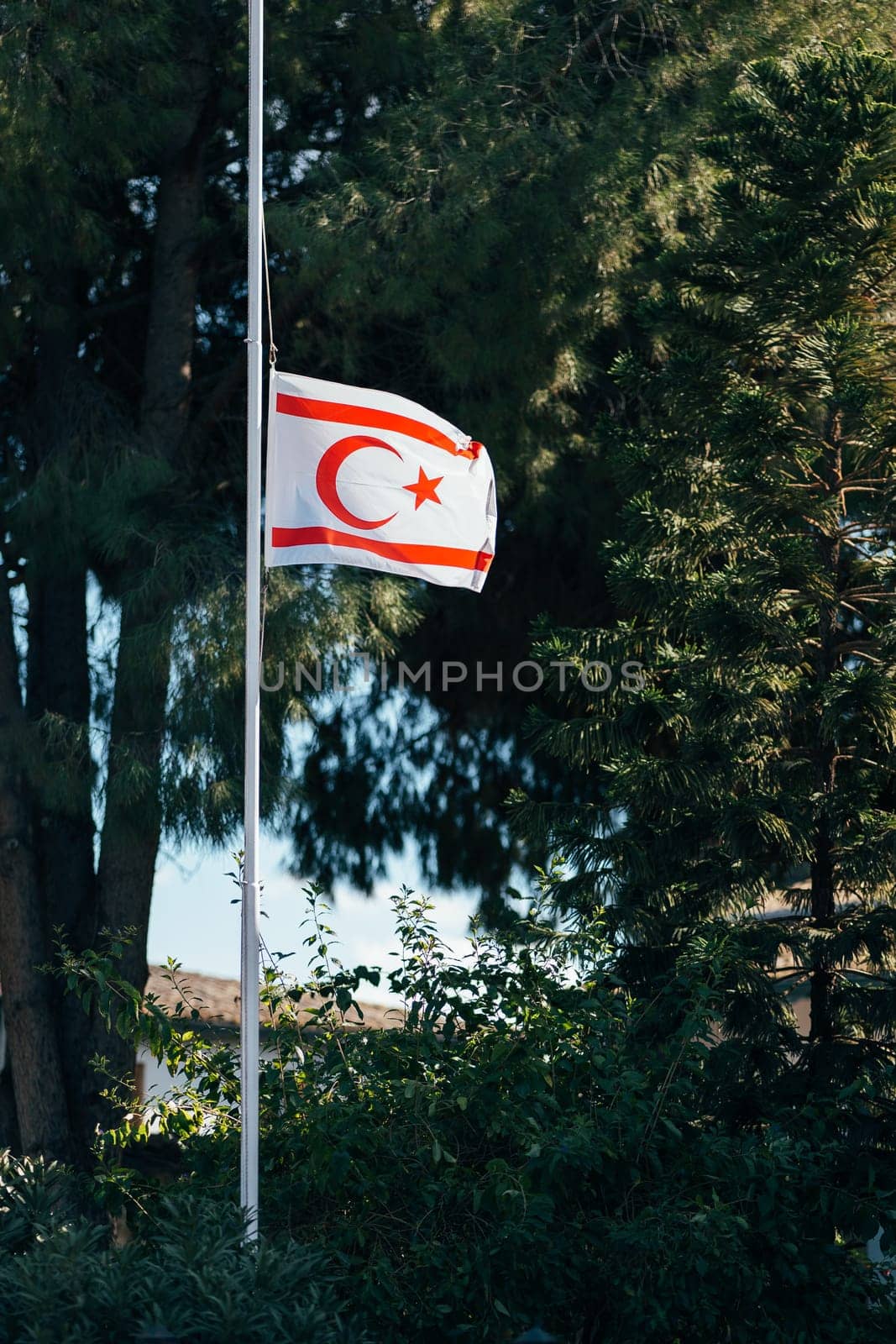Turkish Flag Waving in a Peaceful Park at Sunset. by apavlin