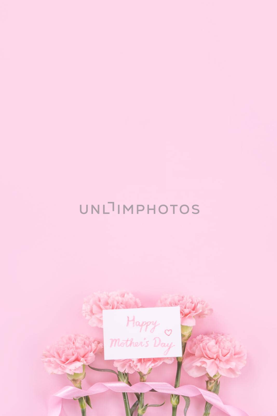 Beautiful, fresh elegant carnation flower bouquet with white greeting thanks gift card isolated on bright pink color background, top view, flat lay concept.