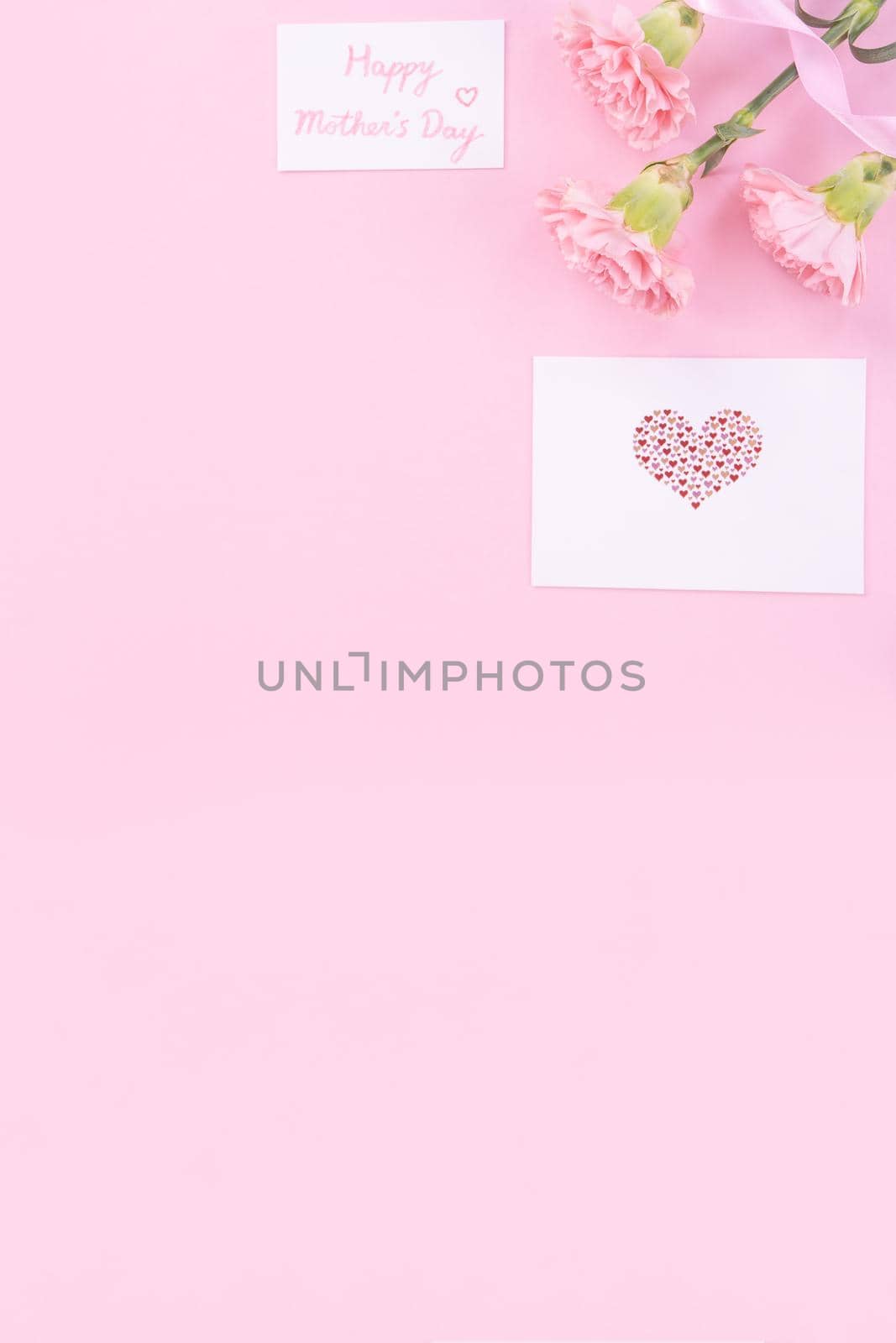 Beautiful, fresh elegant carnation flower bouquet with white greeting thanks gift card isolated on bright pink color background, top view, flat lay concept.