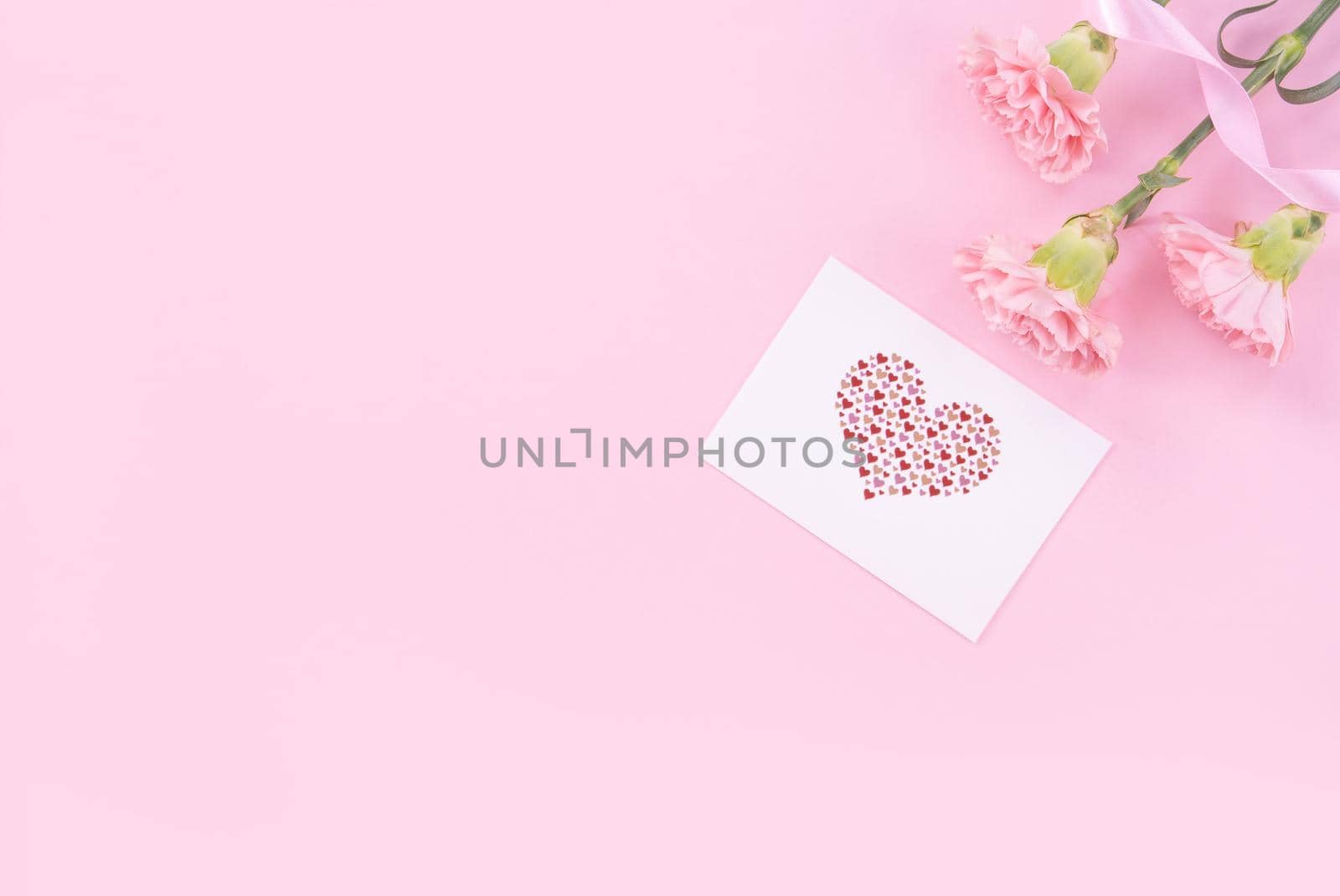 Beautiful, fresh elegant carnation flower bouquet with white greeting thanks gift card isolated on bright pink color background, top view, flat lay concept.