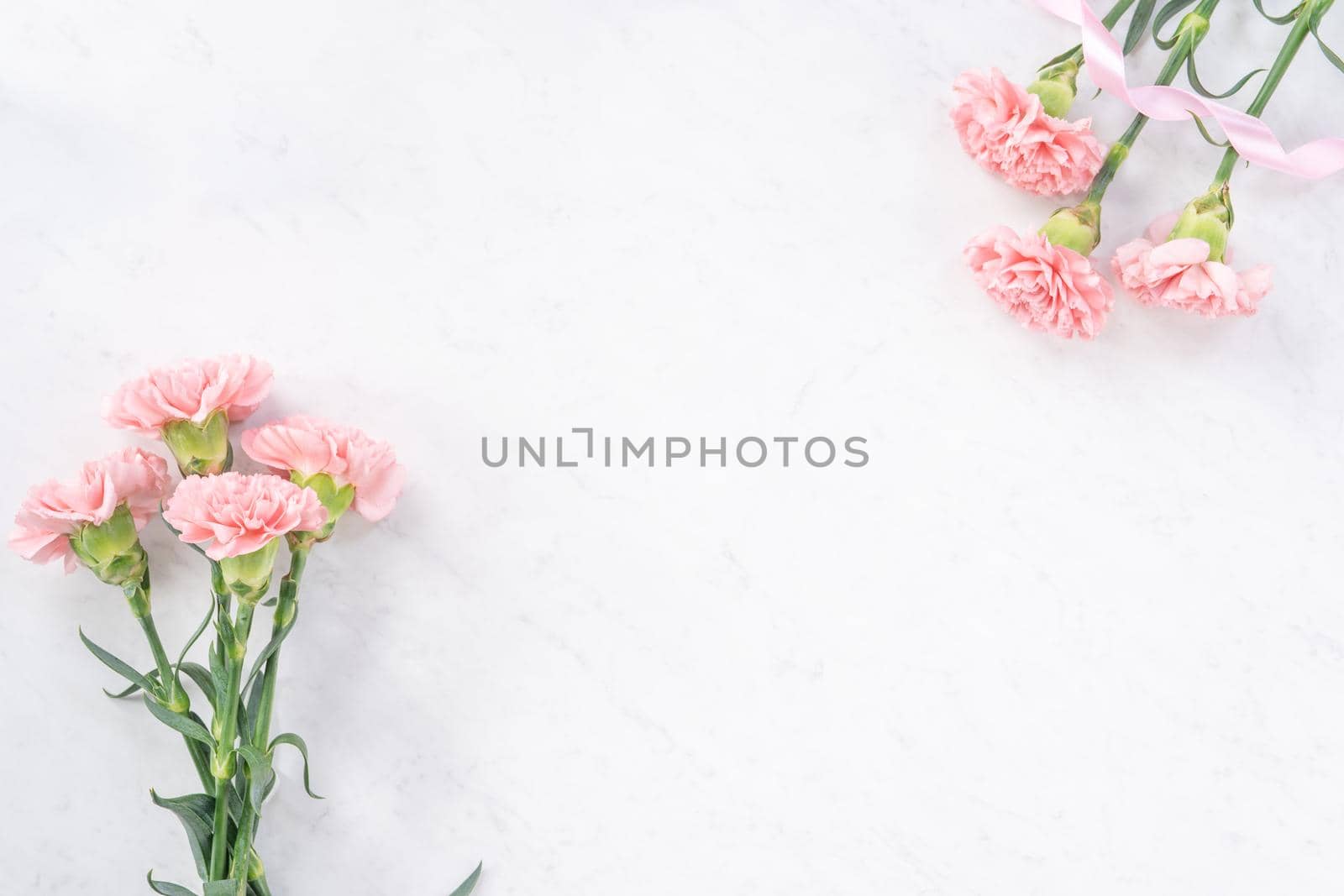 Beautiful, elegant pink carnation flower over bright white marble table background, concept of Mother's Day flower gift, top view, flat lay, overhead