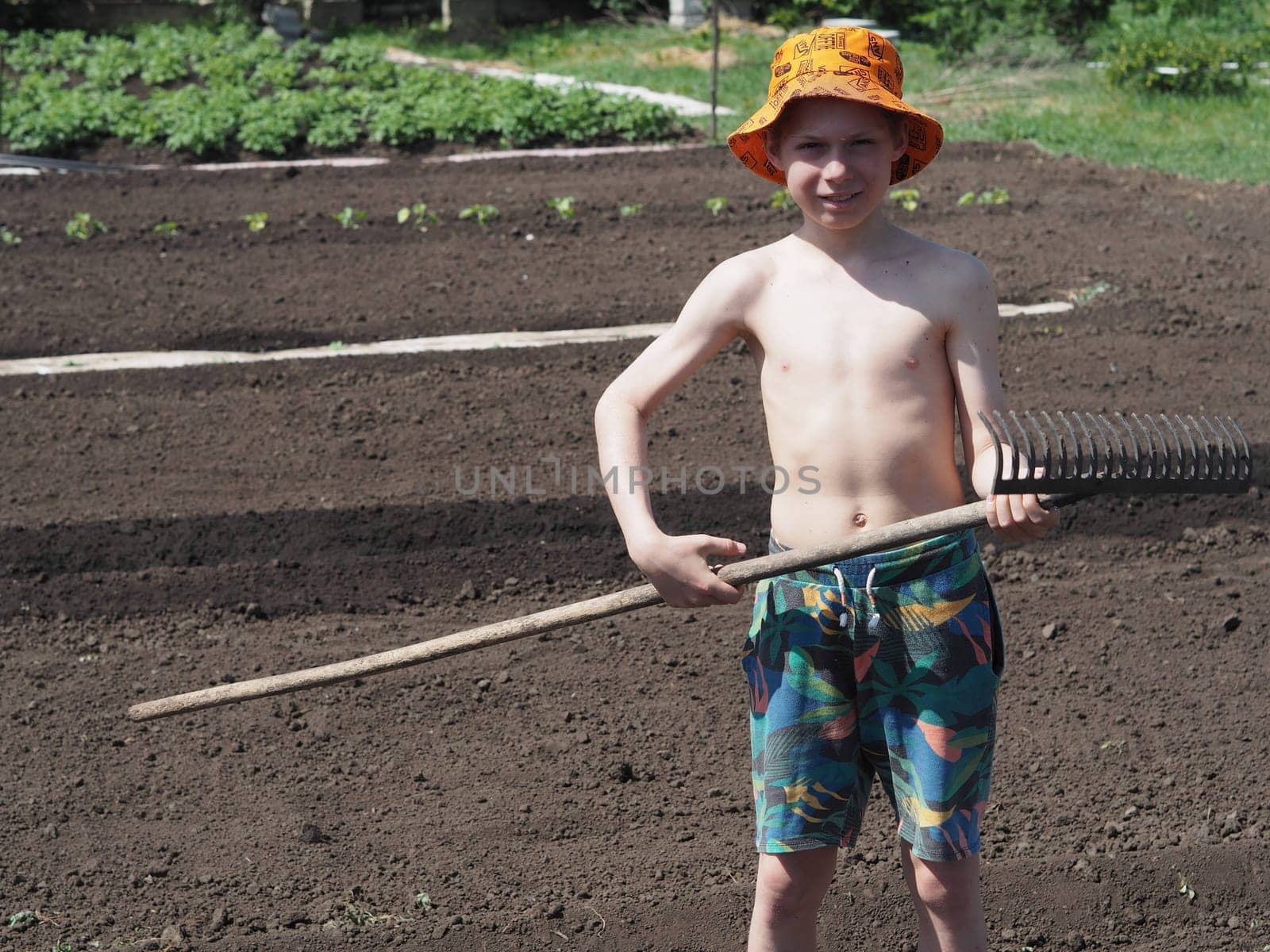 On a summer day during school holidays, the boy is working effortlessly in agriculture. The concept of child labor and children s leisure. by TatianaPink