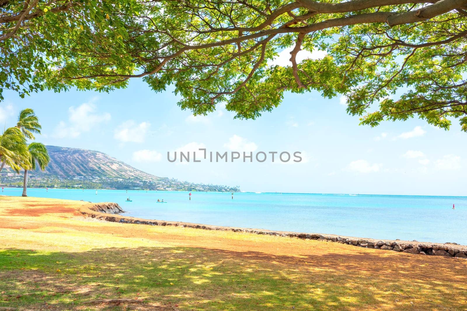 View of Kokohead Crater, Oahu, and ocean horizon from under large shade tree