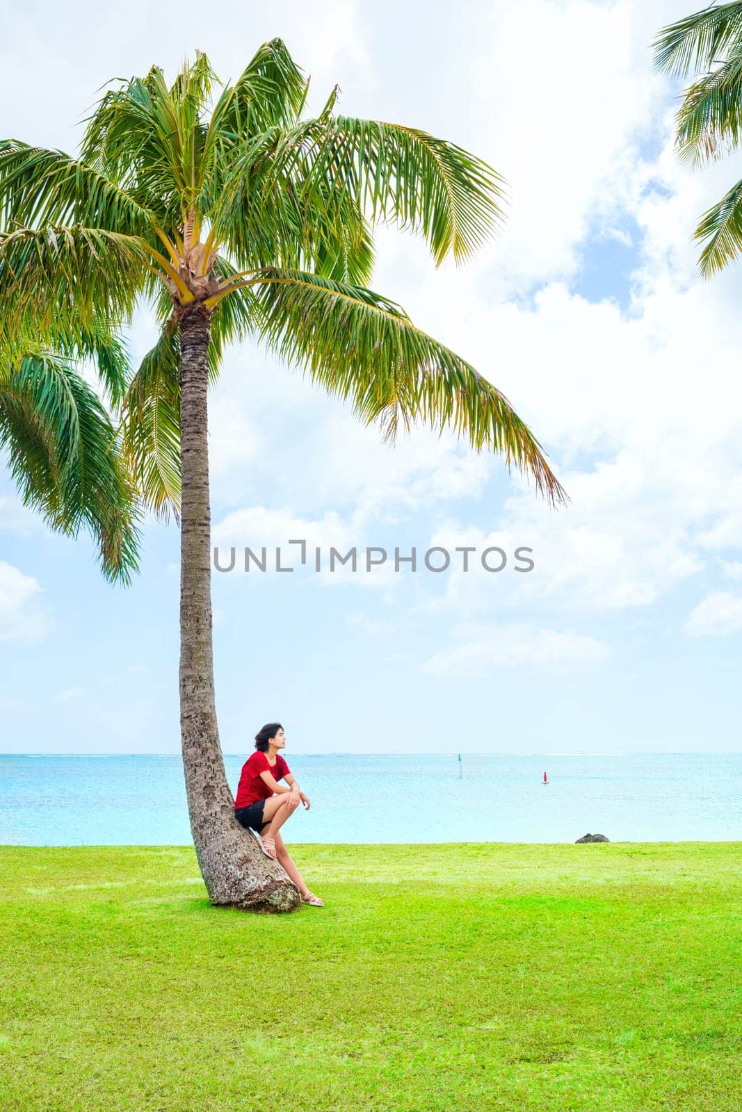 Young woman resting against coconut palm tree by hawaiian ocean by jarenwicklund