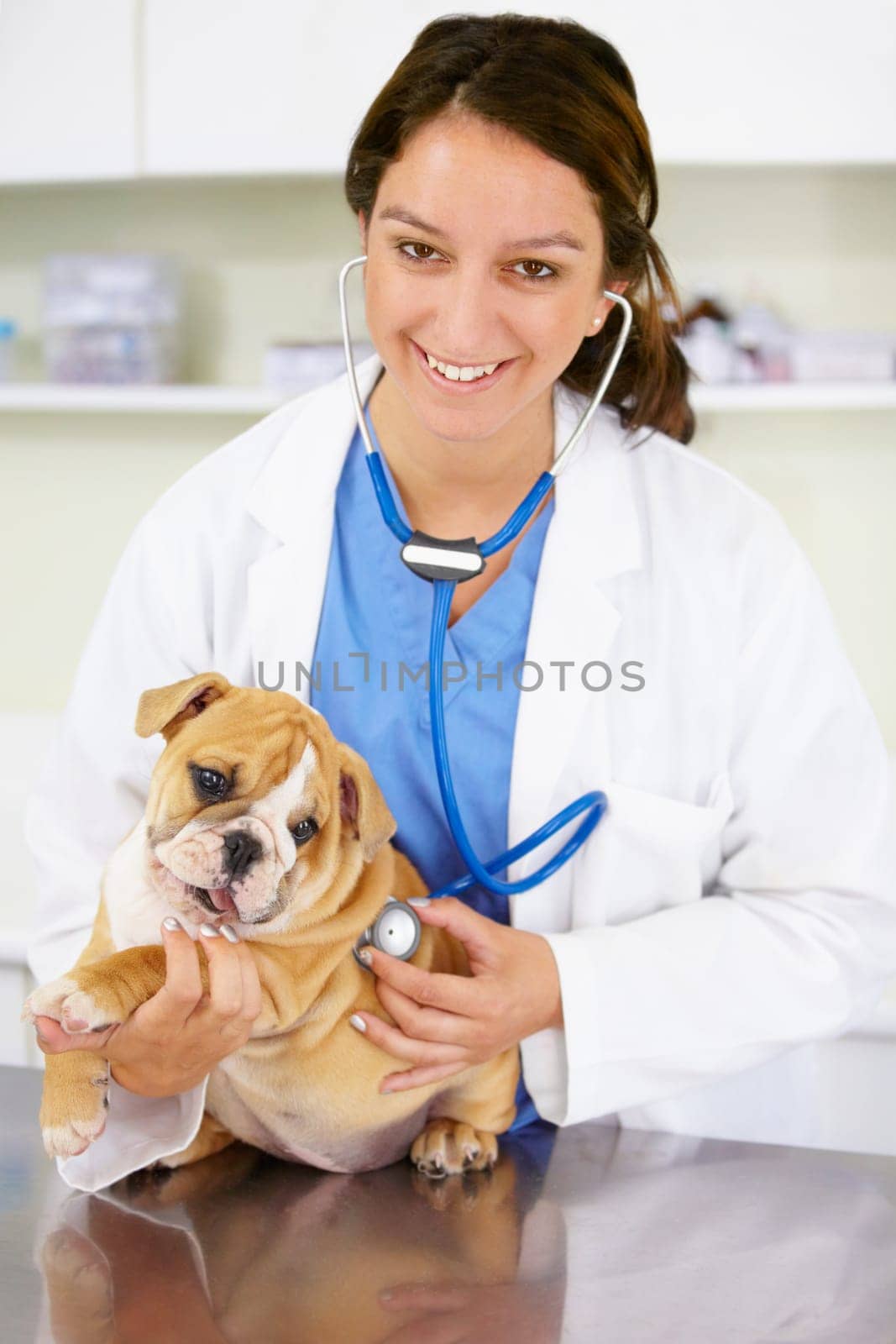 Portrait, happy doctor or dog at vet clinic for animal healthcare checkup in nursing consultation with stethoscope. Inspection, nurse or sick bulldog pet or puppy get exam or medical test for help by YuriArcurs