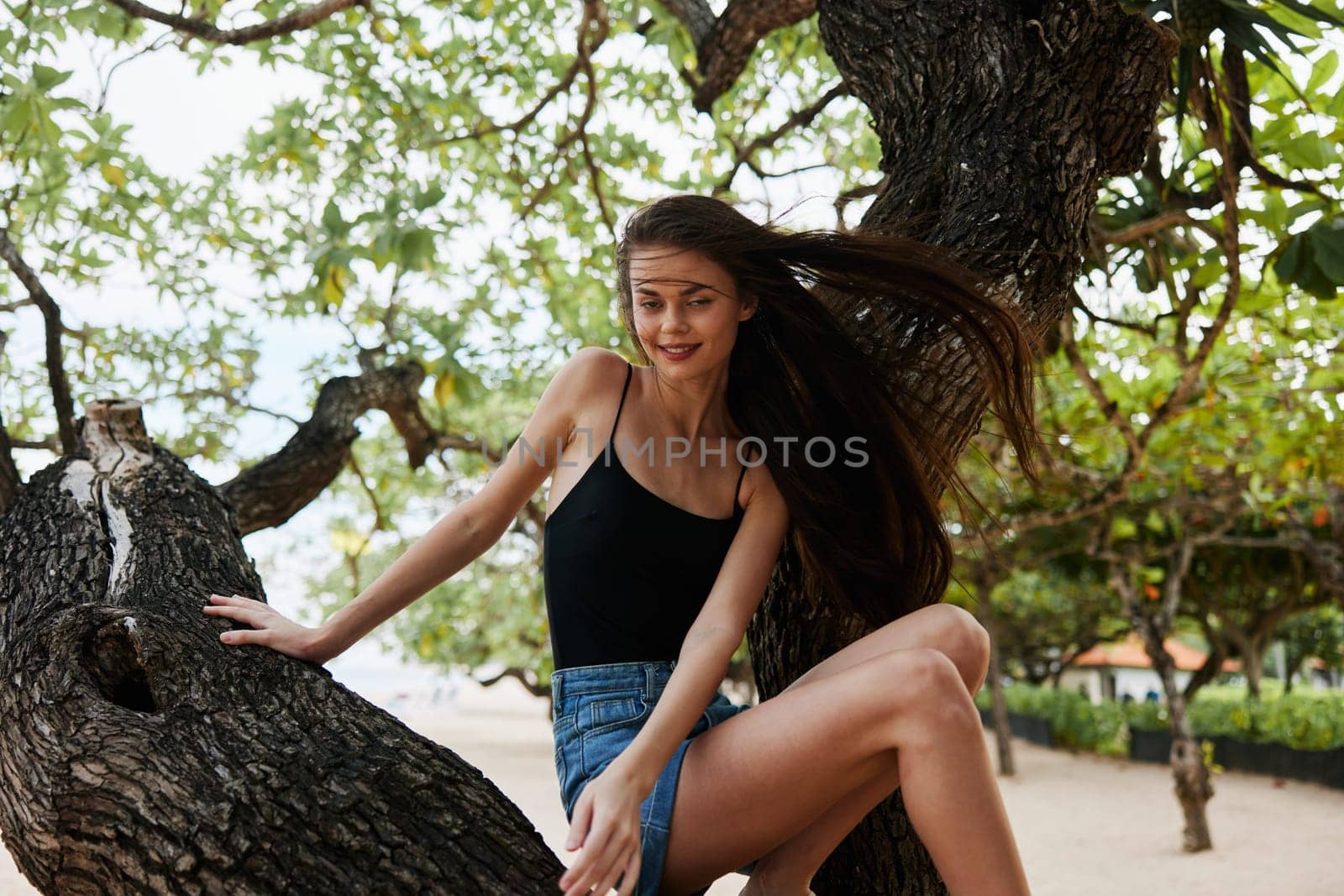 woman long sunset vacation young happiness fool tree sitting freedom sea sand summer relax ocean outdoors lifestyle sky model nature smiling hair