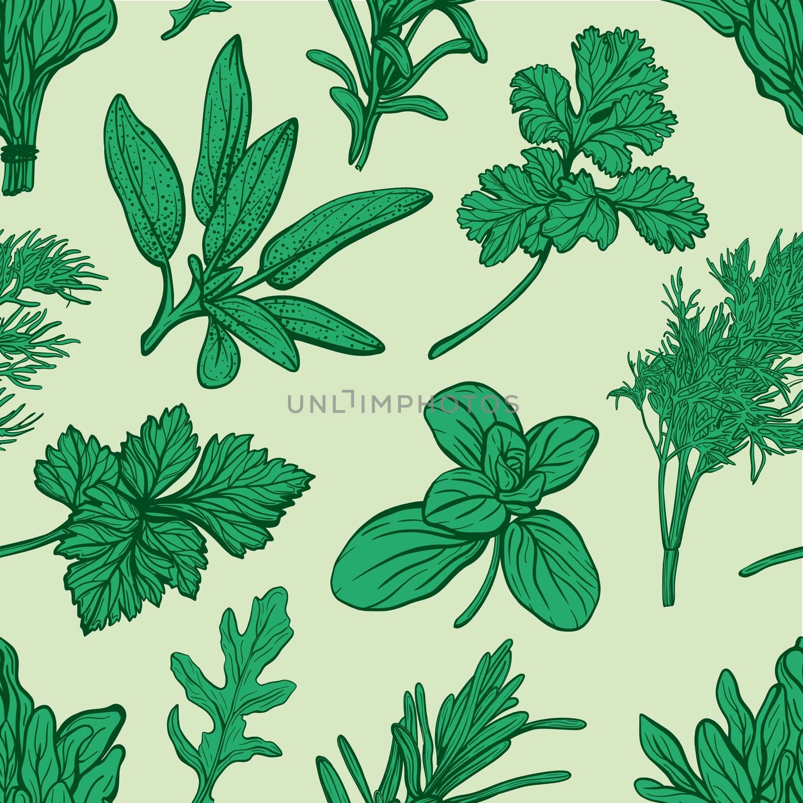 Italian herbs seamless pattern. Provencal condiments and herbs pattern. Mediterranean cuisine. Hand-drawn illustration