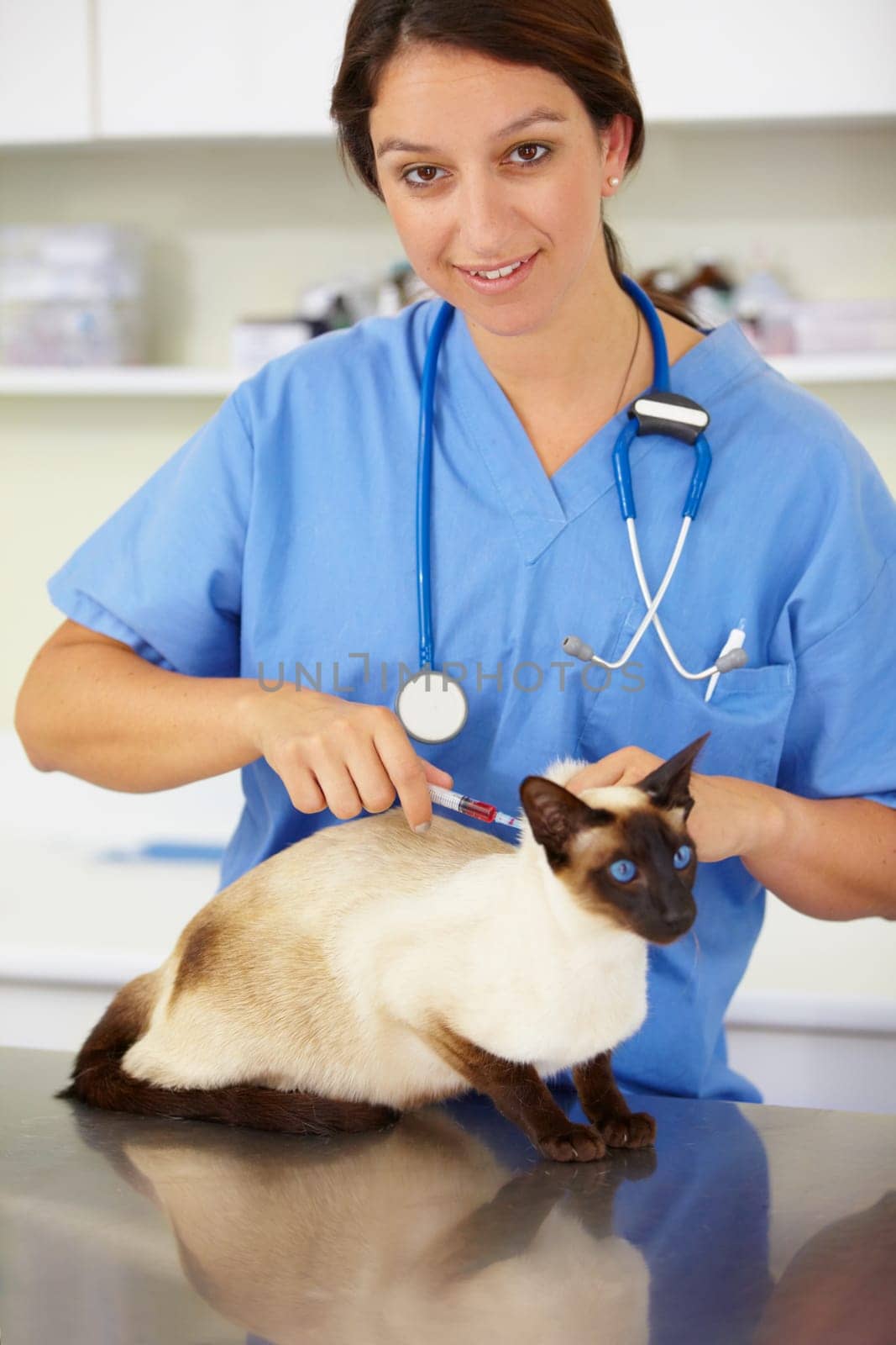 Injection, doctor portrait or cat at vet or animal healthcare clinic checkup in nursing consultation. Friendly smile, nurse or sick pet or Siamese kitten in veterinary examination or medical vaccine by YuriArcurs