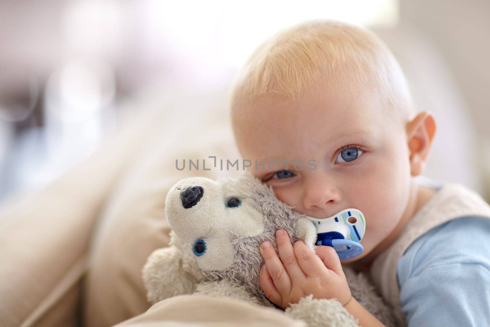 Cute, relax and portrait of a baby with a toy for comfort, sleep and playing in a house. Adorable, pacifier and a little child with a bear on the living room sofa for calm, relaxing and play by YuriArcurs