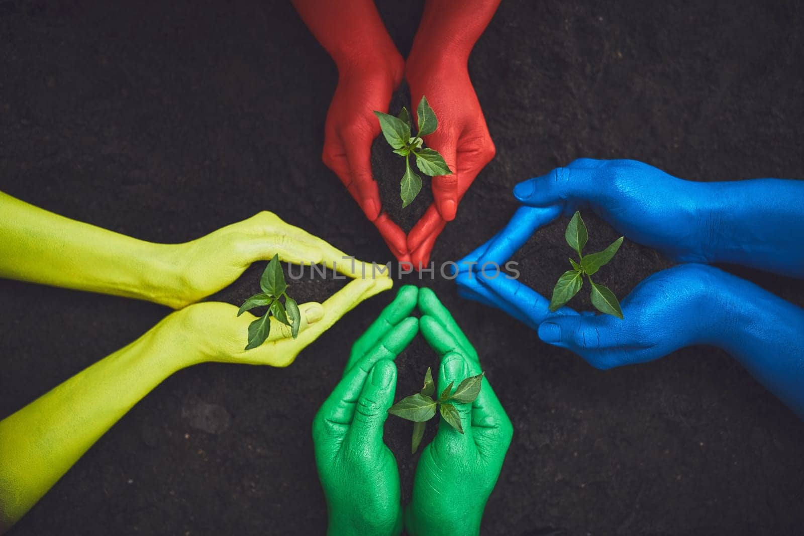 Let it grow. unrecognizable people holding budding plants in their multi colored hands