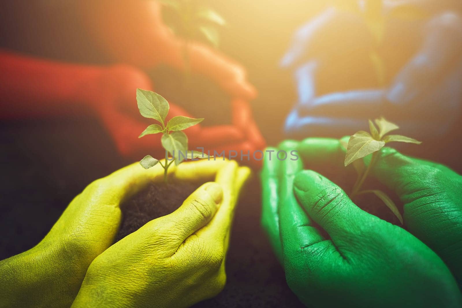 We may look different but inside we are the same. unrecognizable people holding budding plants in their multi colored hands