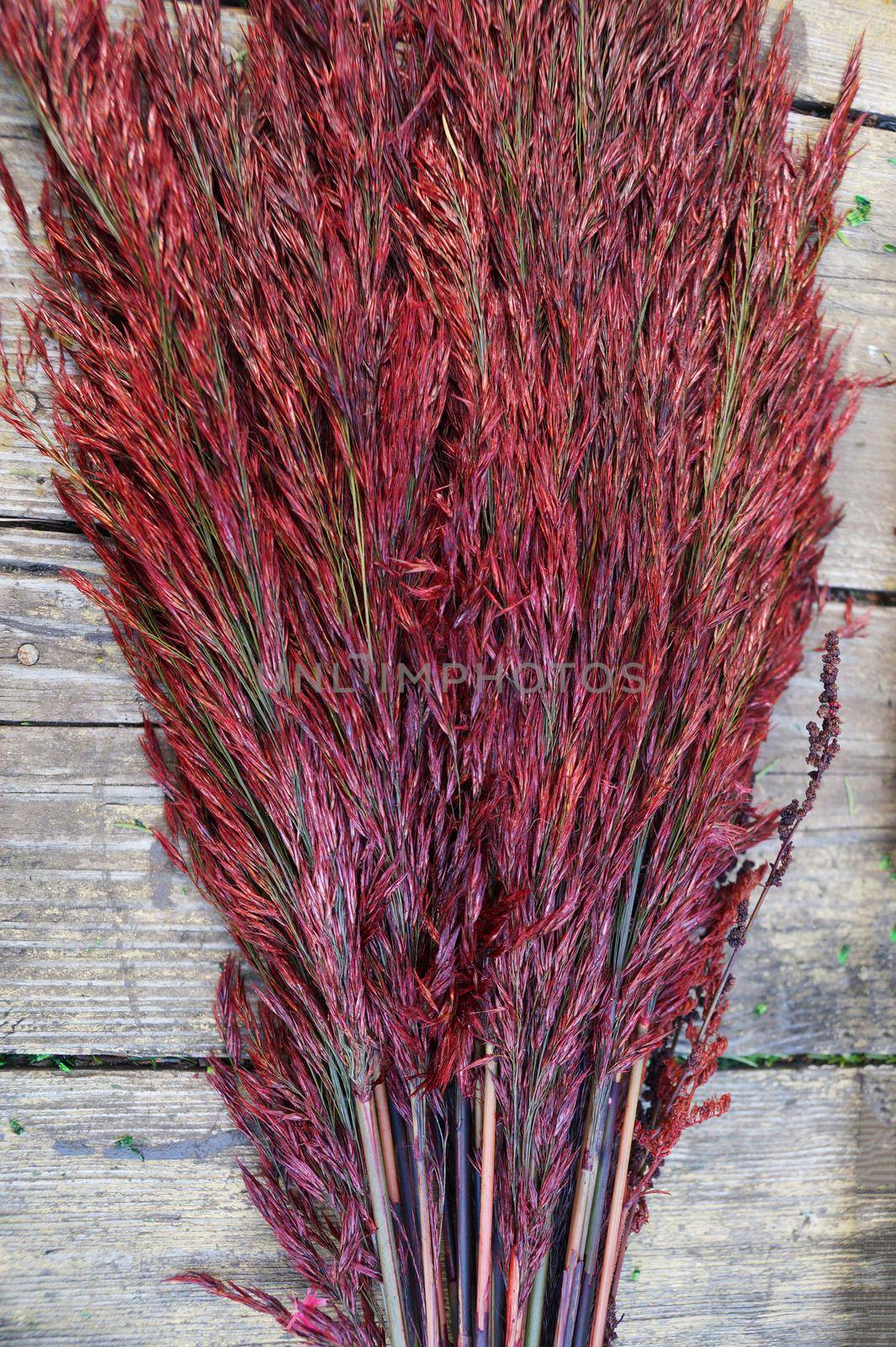 red stabilized reed on an old wooden table for home decor close-up