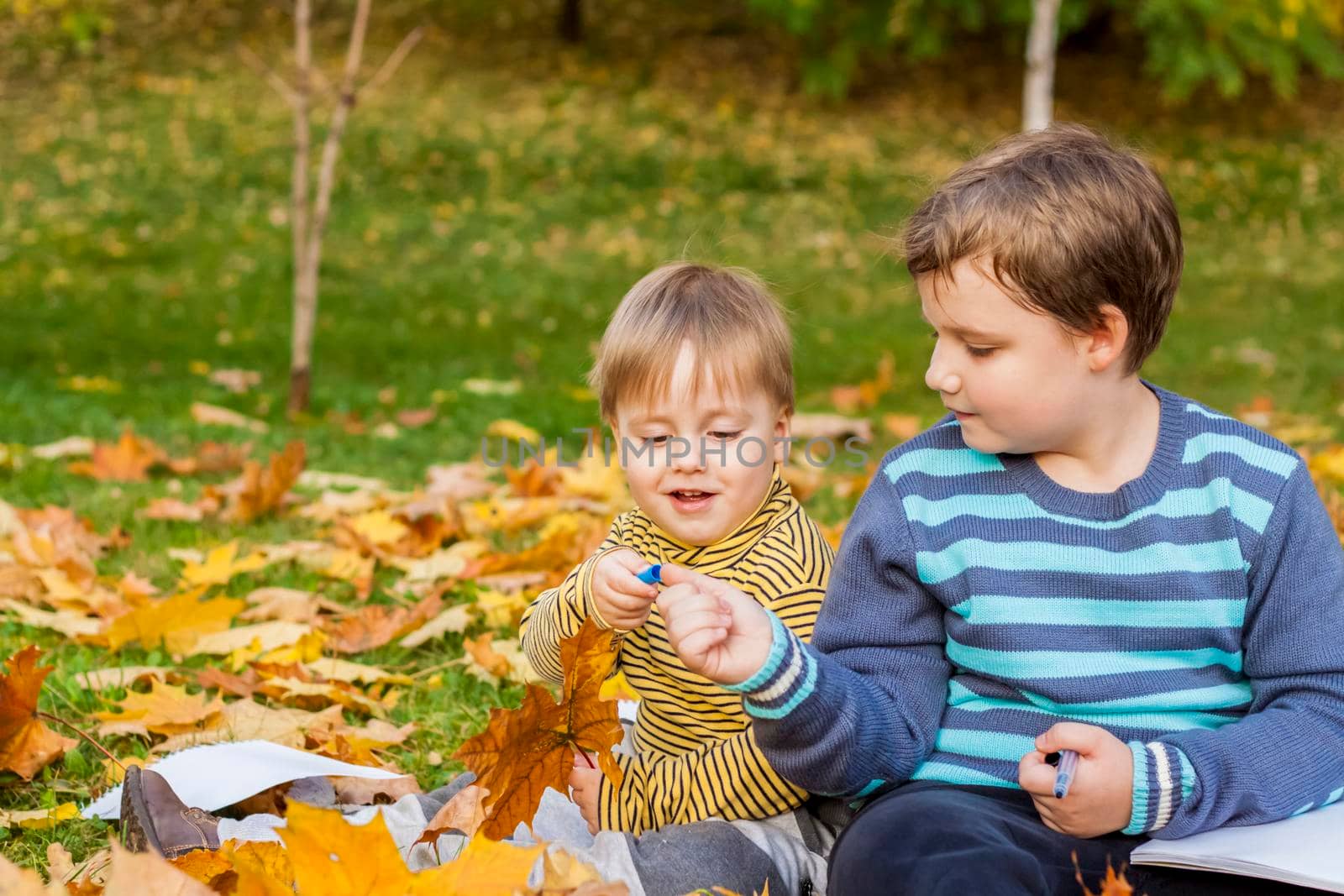 Autumn mood. The boys are sitting on a blanket in the park. Autumn portrait of a child in yellow foliage. Sight. A sweet, caring boy. Autumn