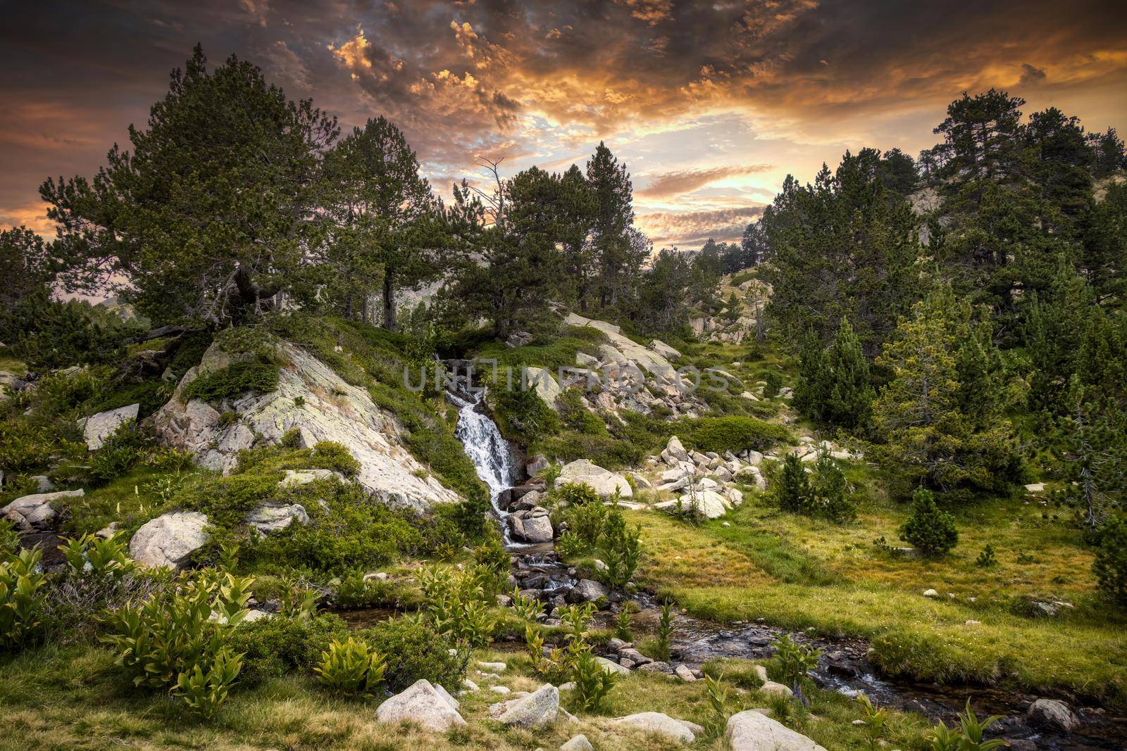 Sunset summer landscape with a small creek in La Cerdanya of Pyrenees mountain, Catalonia, Spain.