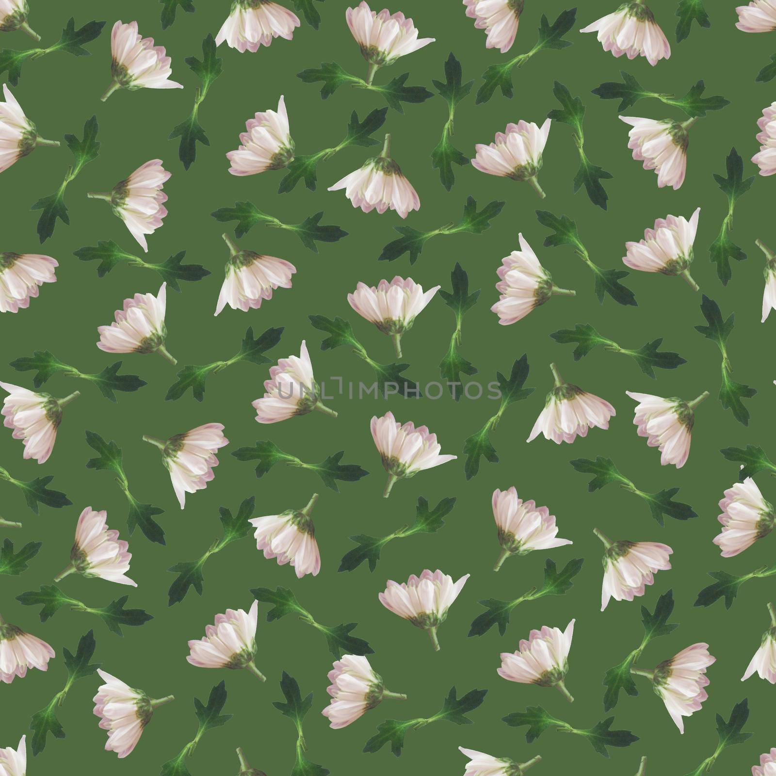 Photo and Digital Seamless Pattern with Nature Chrysanthemums Flowers. Digital Mixed Media Artwork. Endless Motif for Textile Decor and Design.