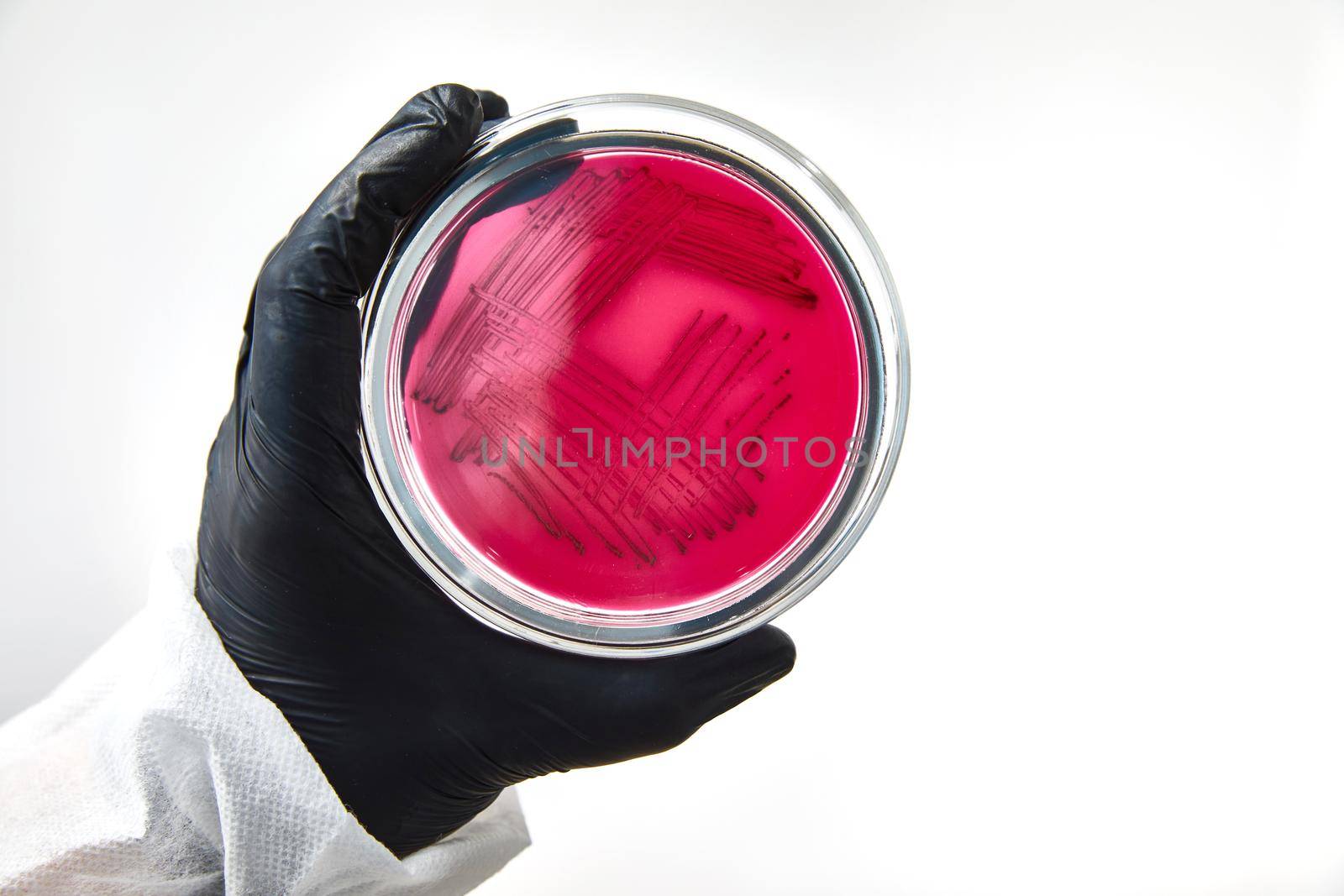chemist wearing gloves at laboratory. testing process with glass plate and sample. viruses and health care concept. High quality photo