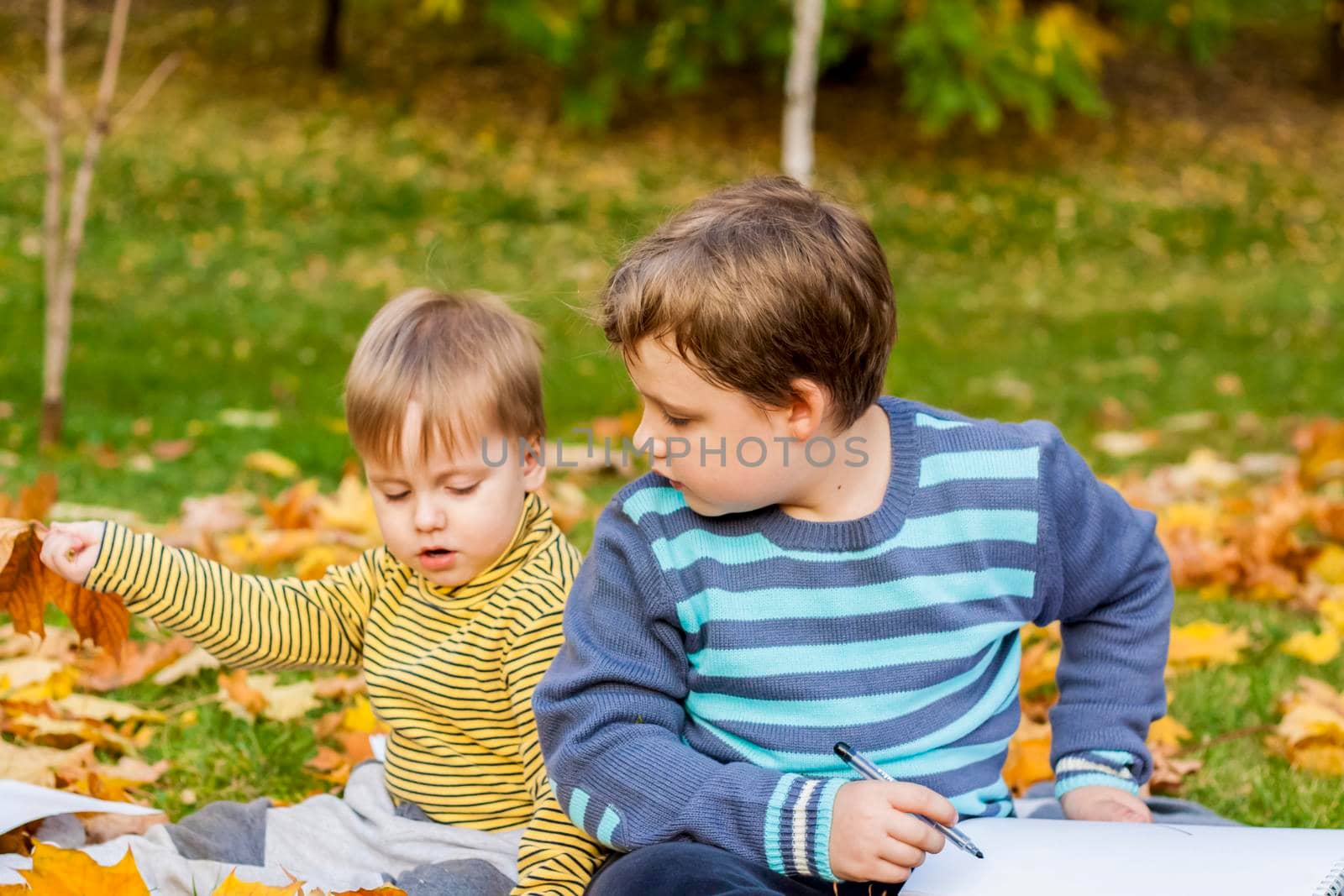 Autumn mood. The boys are sitting on a blanket in the park. Autumn portrait of a child in yellow foliage. Sight. A sweet, caring boy. Autumn