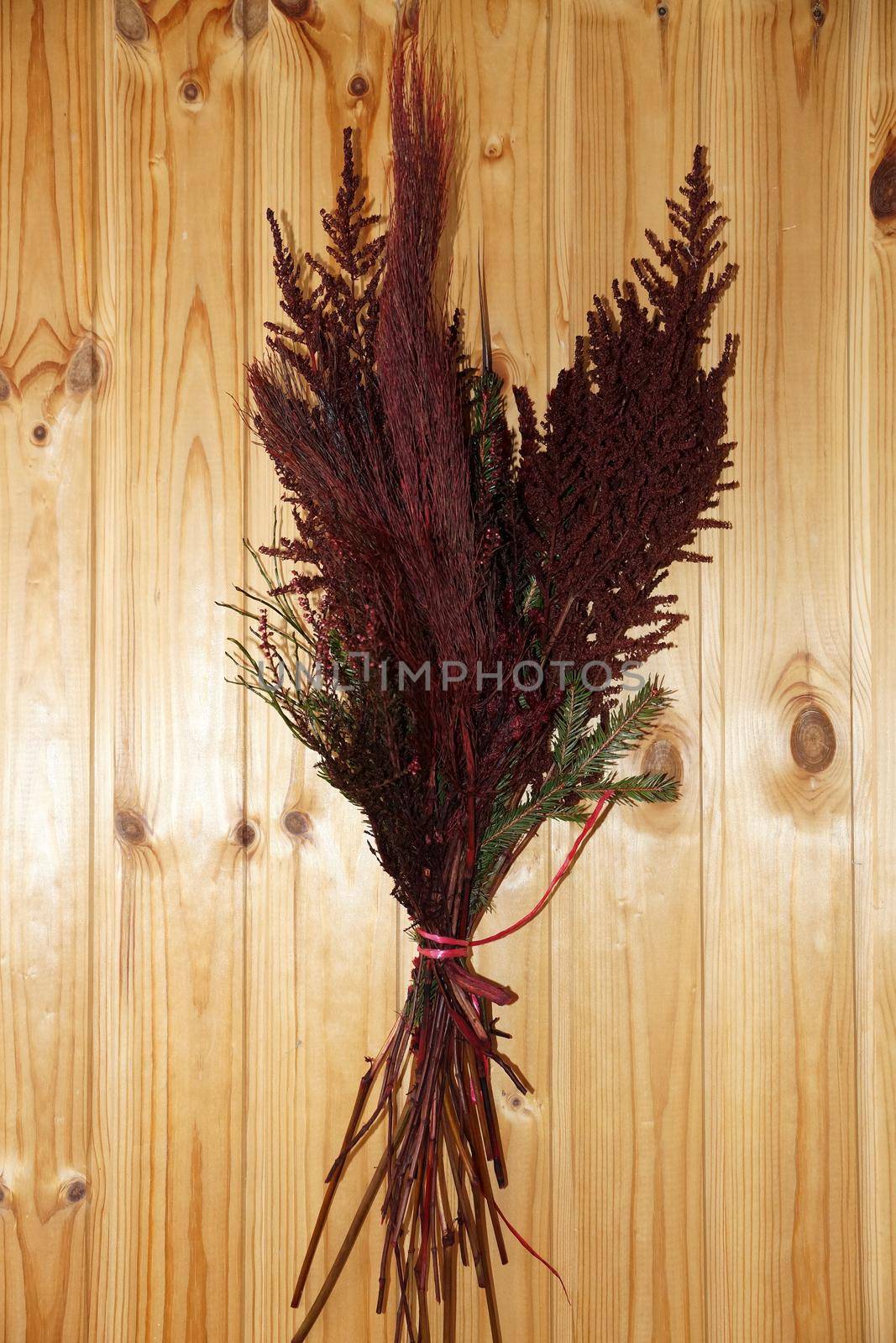 red stabilized reed on a wooden wall for home decor close-up