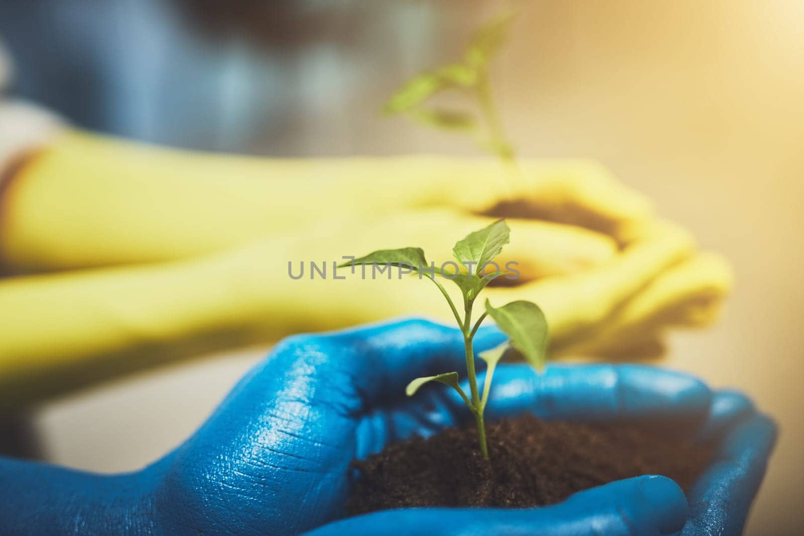 Nature is fragile too so be nice to her. unrecognizable people holding budding plants in their colorful hands. by YuriArcurs