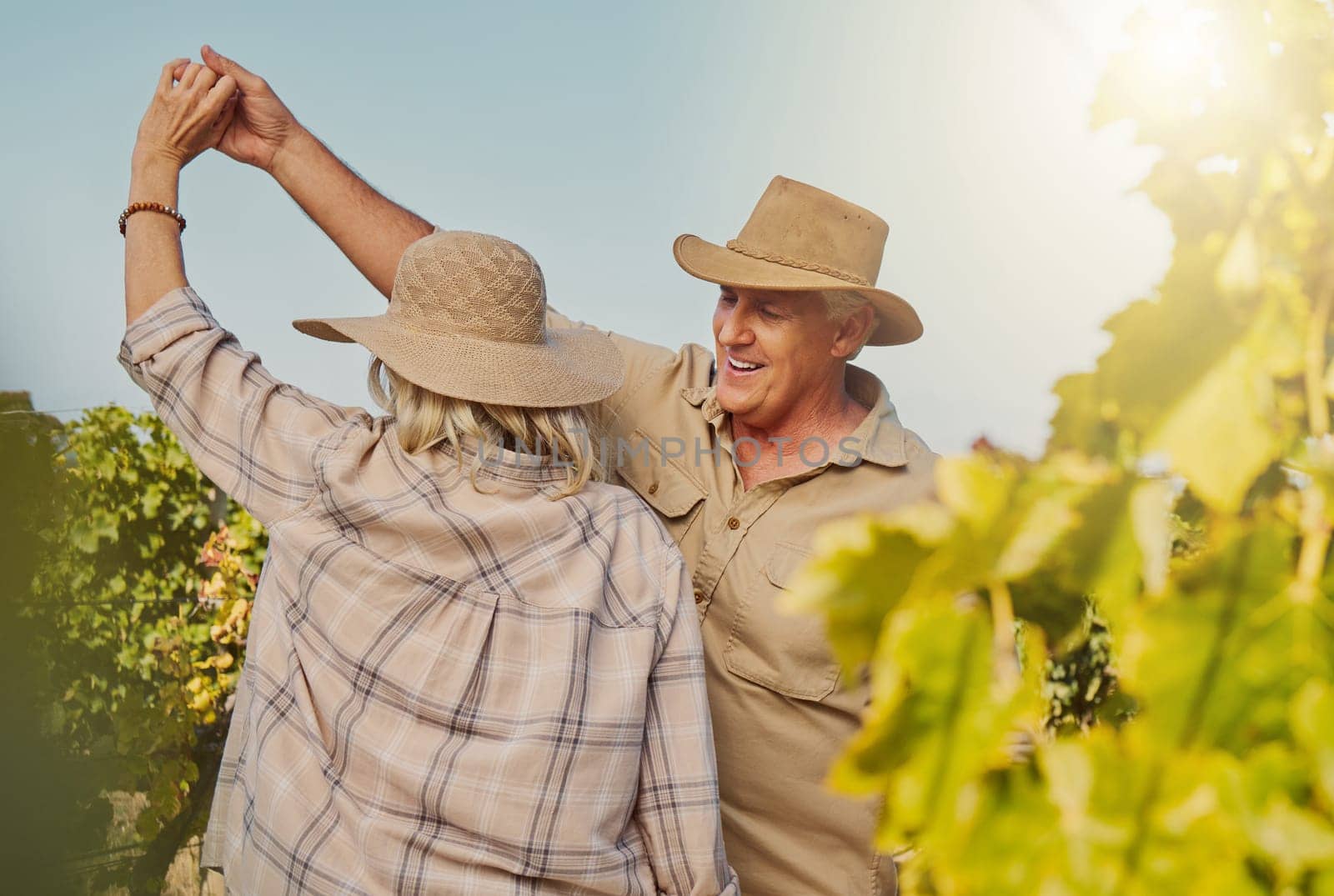 Smiling senior couple dancing together and feeling playful on vineyard. Caucasian husband and wife standing together and enjoying a day on a farm after wine tasting weekend. Man and woman having fun by YuriArcurs