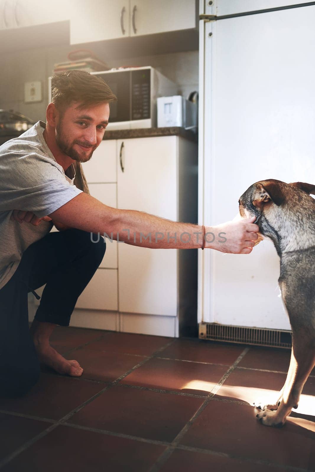 You are truly my best friend. a cheerful young man shaking his adorable dogs paw inside of the kitchen during the day