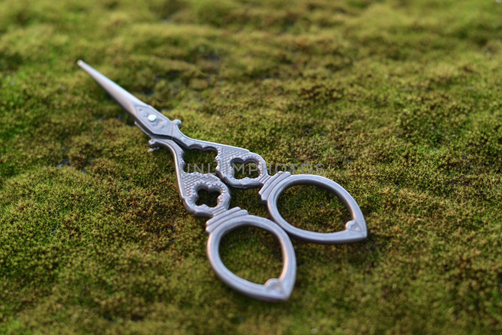 Old vintage scissors on the green mold by Godi
