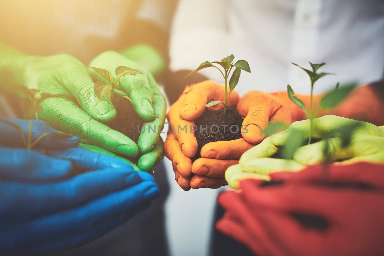 They all are holding life in their hands. unrecognizable people holding budding plants in their multi colored hands