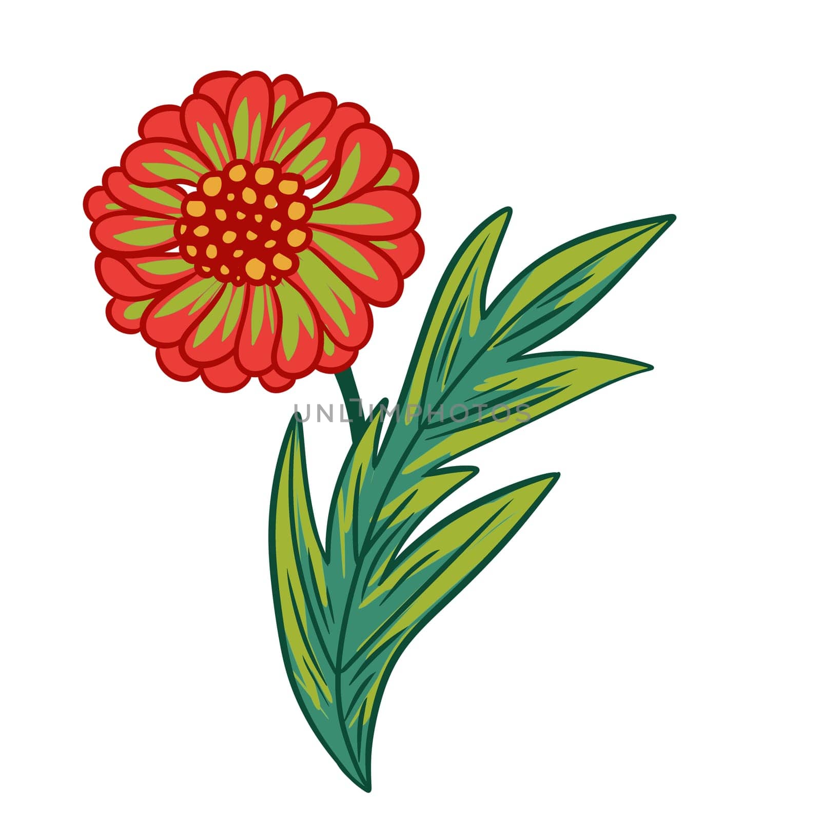 Hand drawn illustration of orange green zinnia daisy daisy flowers leaves on white isolated background. Bright colorful retro vintage print design, 60s 70s floral art, nature plant bloom blossom.