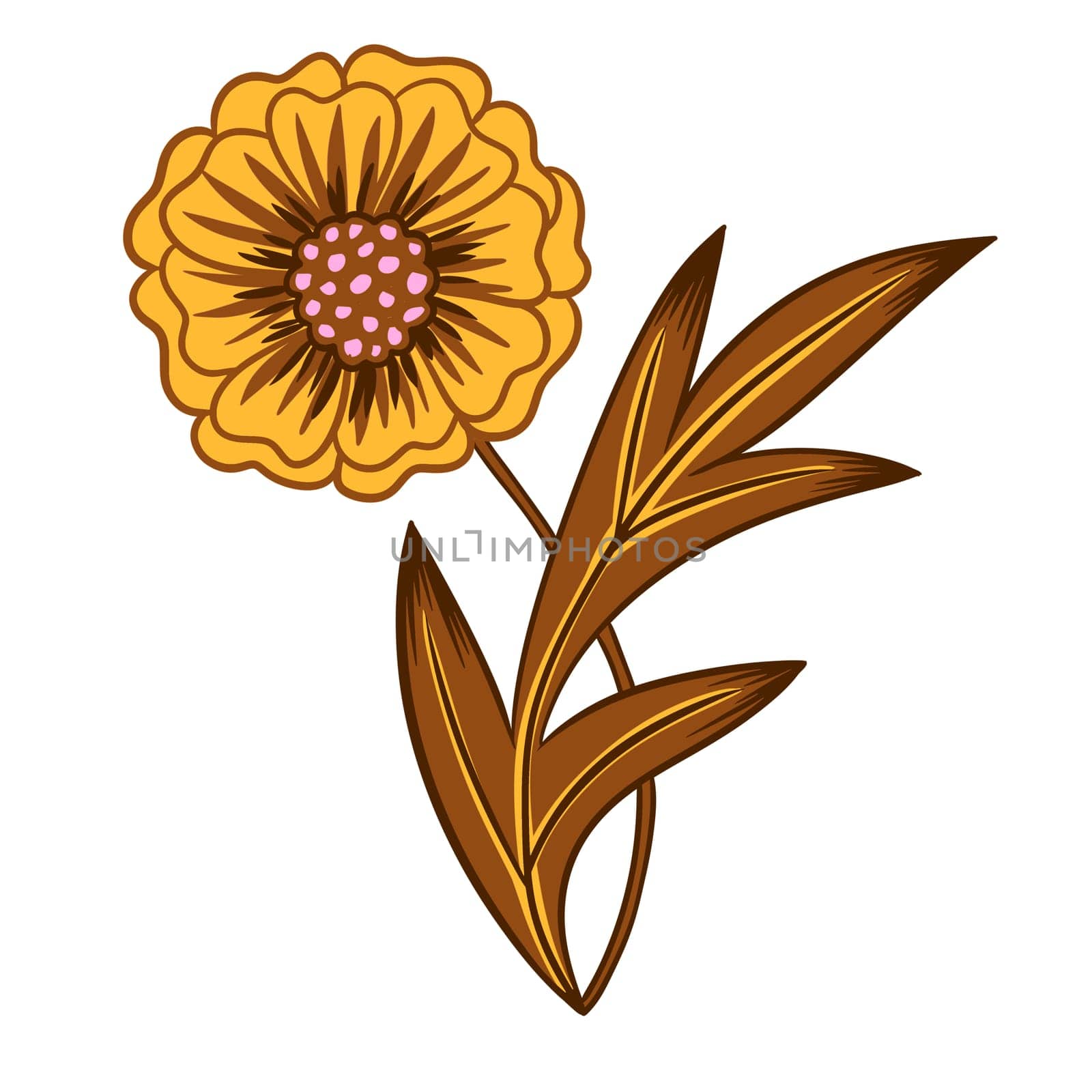 Hand drawn illustration of yellow brown zinnia daisy daisy flowers leaves on white isolated background. Bright colorful retro vintage print design, 60s 70s floral art, nature plant bloom blossom.. by Lagmar