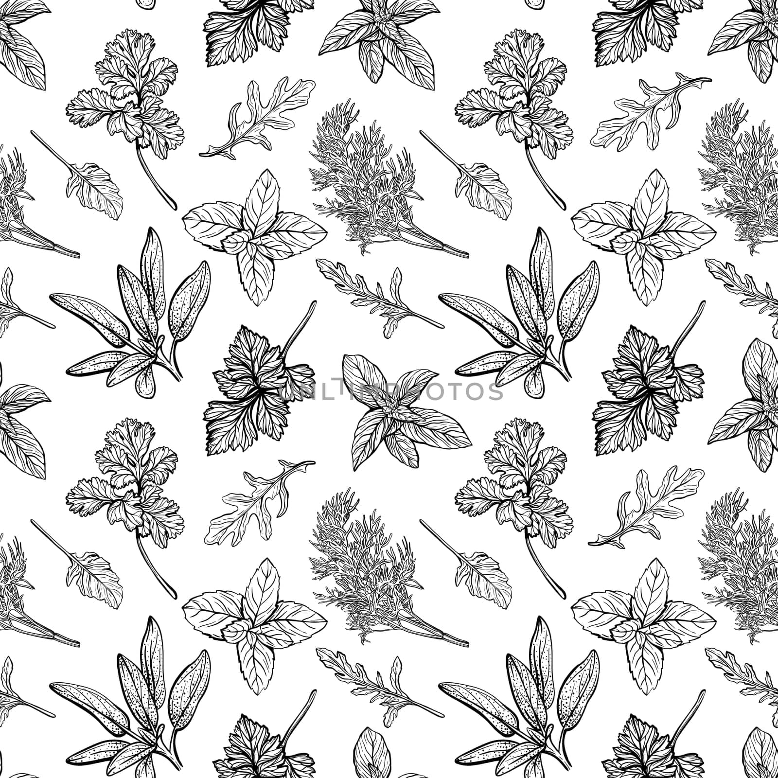 Italian herbs seamless pattern. Provencal condiments and herbs pattern. Mediterranean cuisine. Hand-drawn illustration